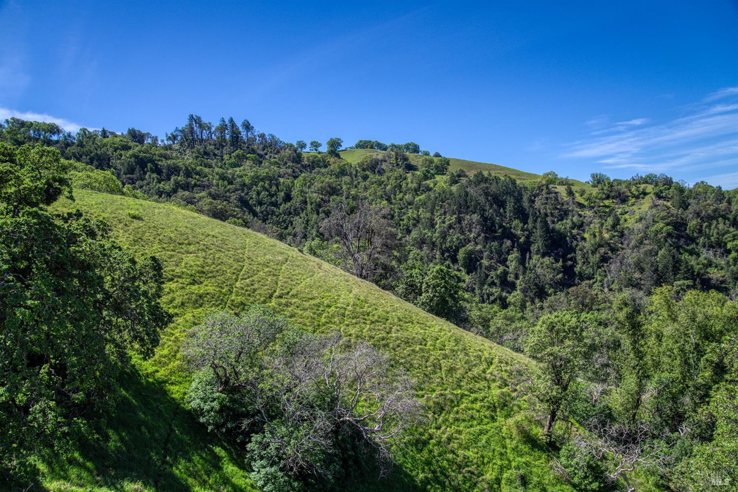 Detail Gallery Image 48 of 72 For 12300 Skaggs Rd, Geyserville,  CA 95441 - 2 Beds | 2 Baths