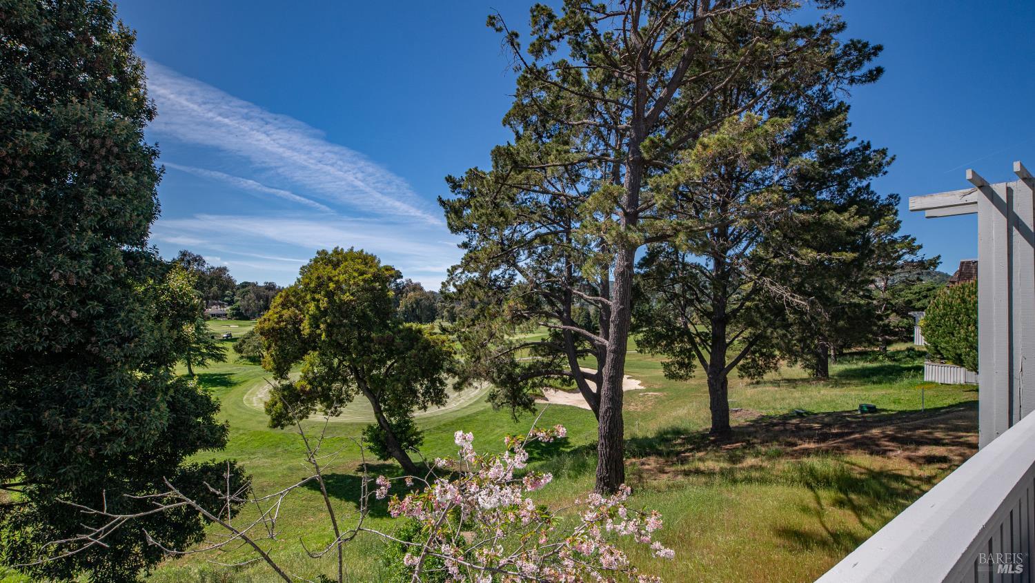 Detail Gallery Image 18 of 36 For 143 Knollwood Dr, San Rafael,  CA 94901 - 3 Beds | 2 Baths
