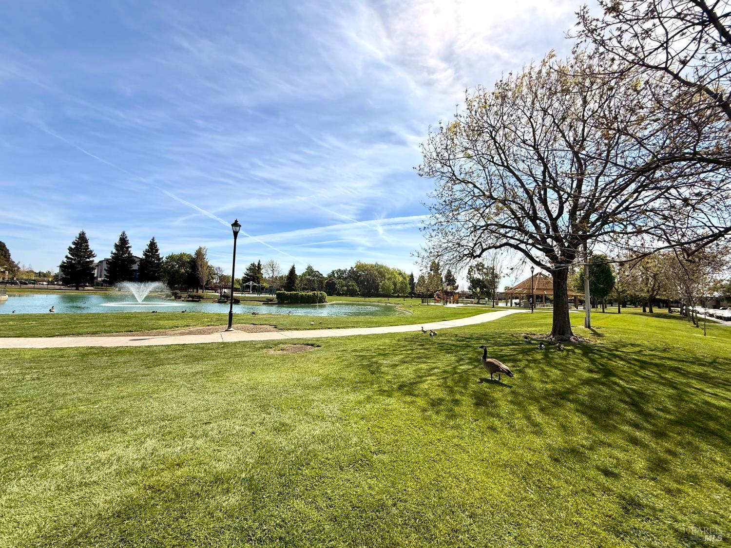 Detail Gallery Image 24 of 26 For 1624 Dover Ave, Fairfield,  CA 94533 - 3 Beds | 1 Baths