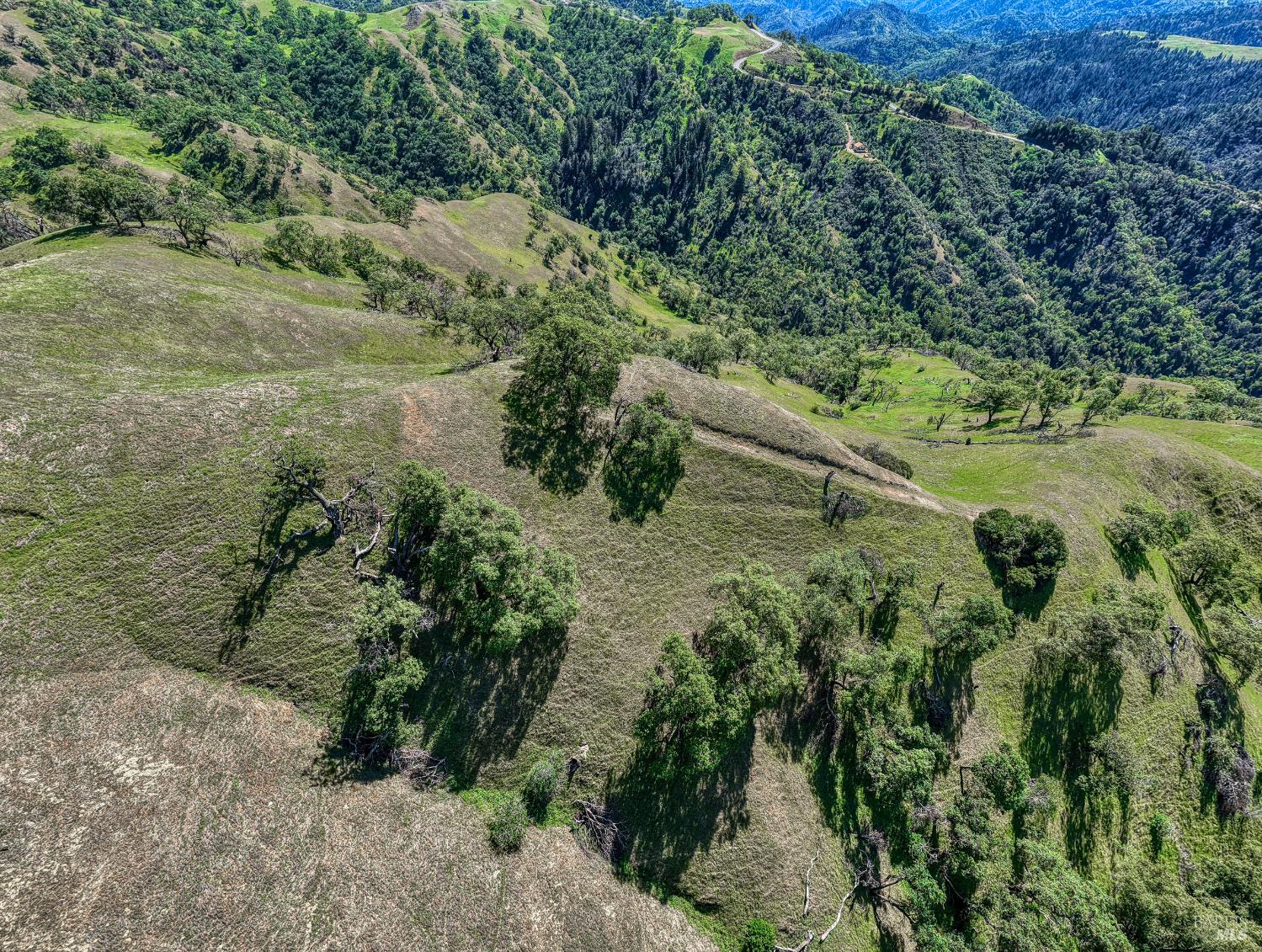 Detail Gallery Image 66 of 72 For 12300 Skaggs Rd, Geyserville,  CA 95441 - 2 Beds | 2 Baths