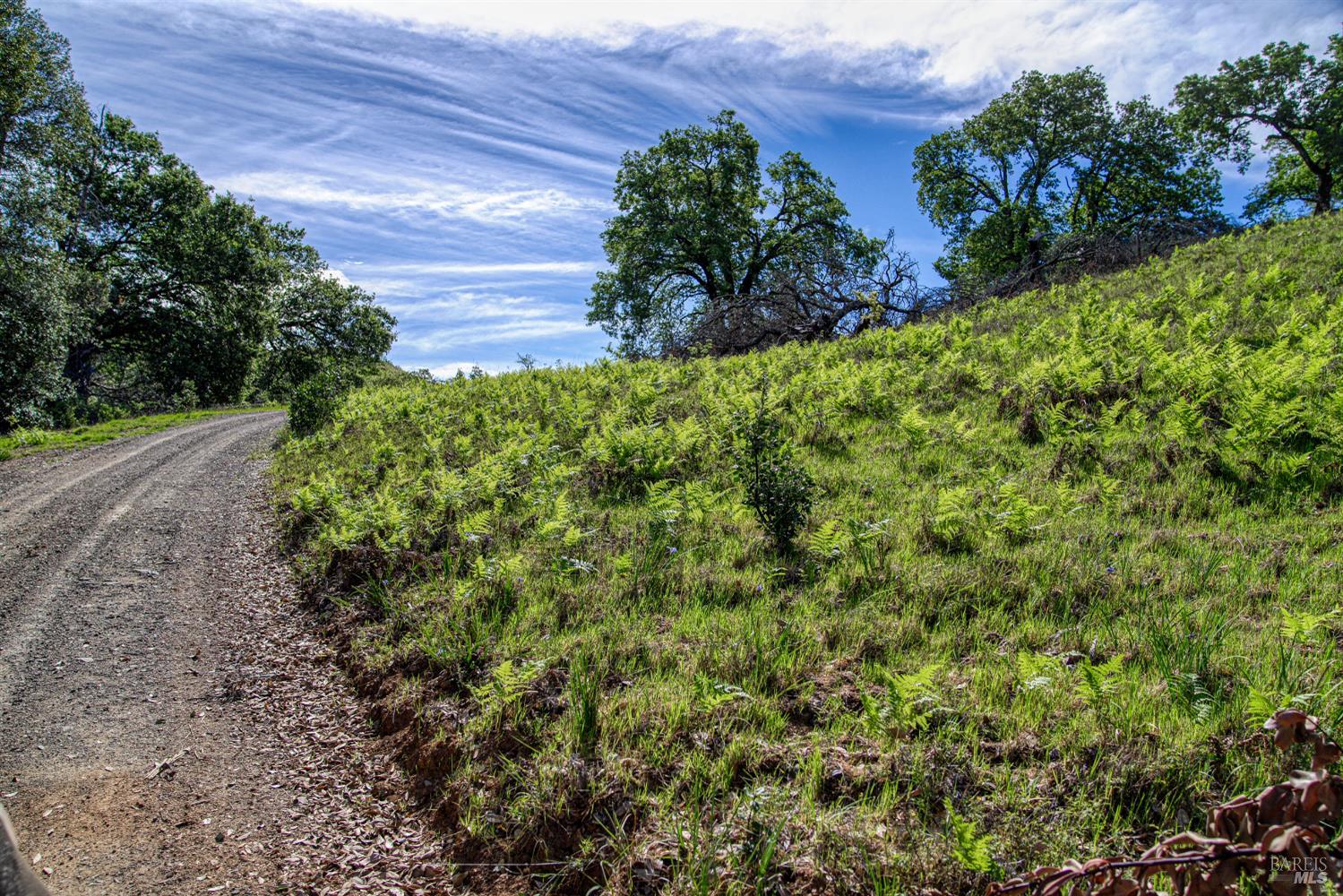Detail Gallery Image 10 of 72 For 12300 Skaggs Rd, Geyserville,  CA 95441 - 2 Beds | 2 Baths