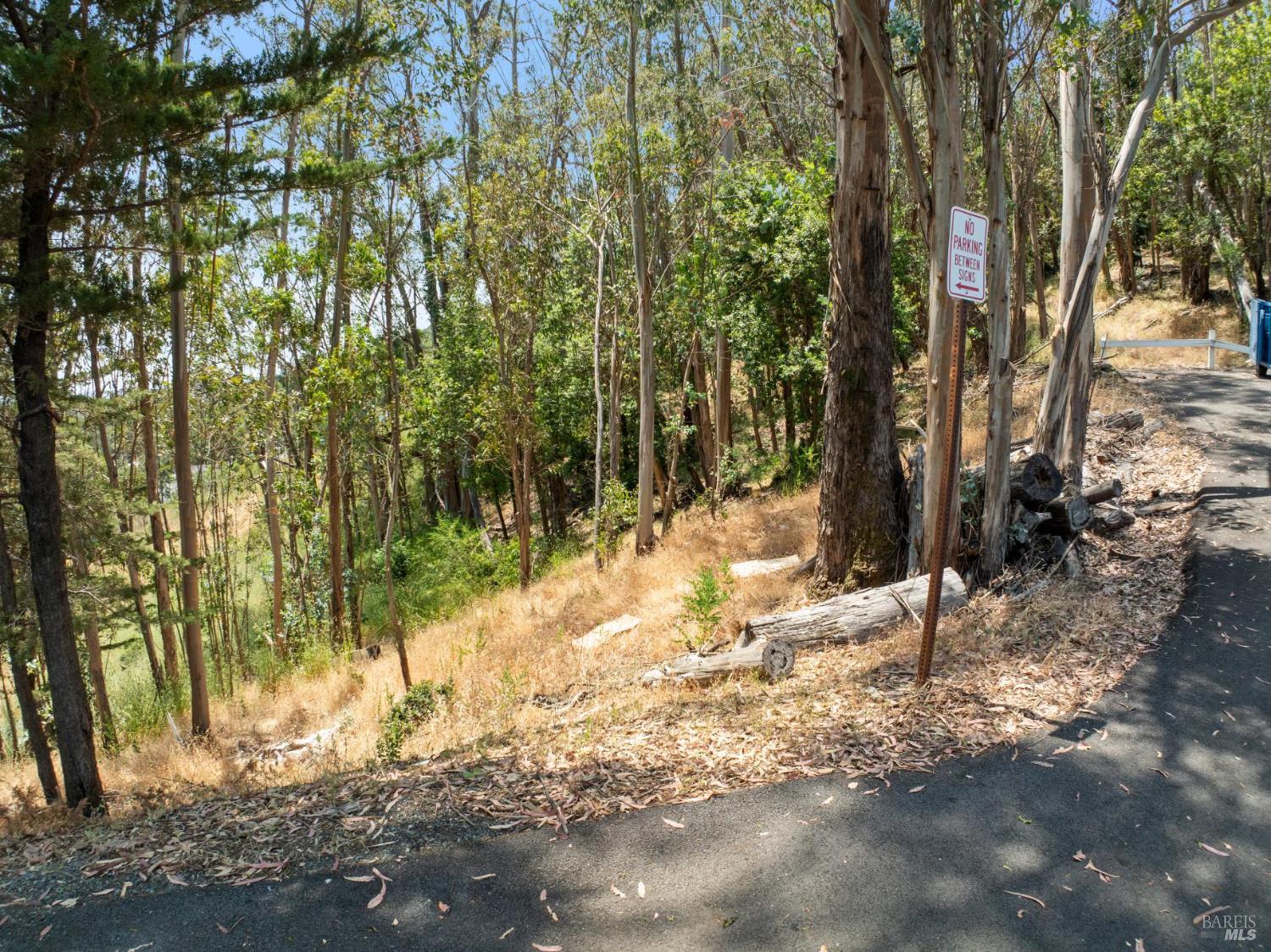 Detail Gallery Image 5 of 8 For 0 Chula Vista Dr, San Rafael,  CA 94901 - – Beds | – Baths