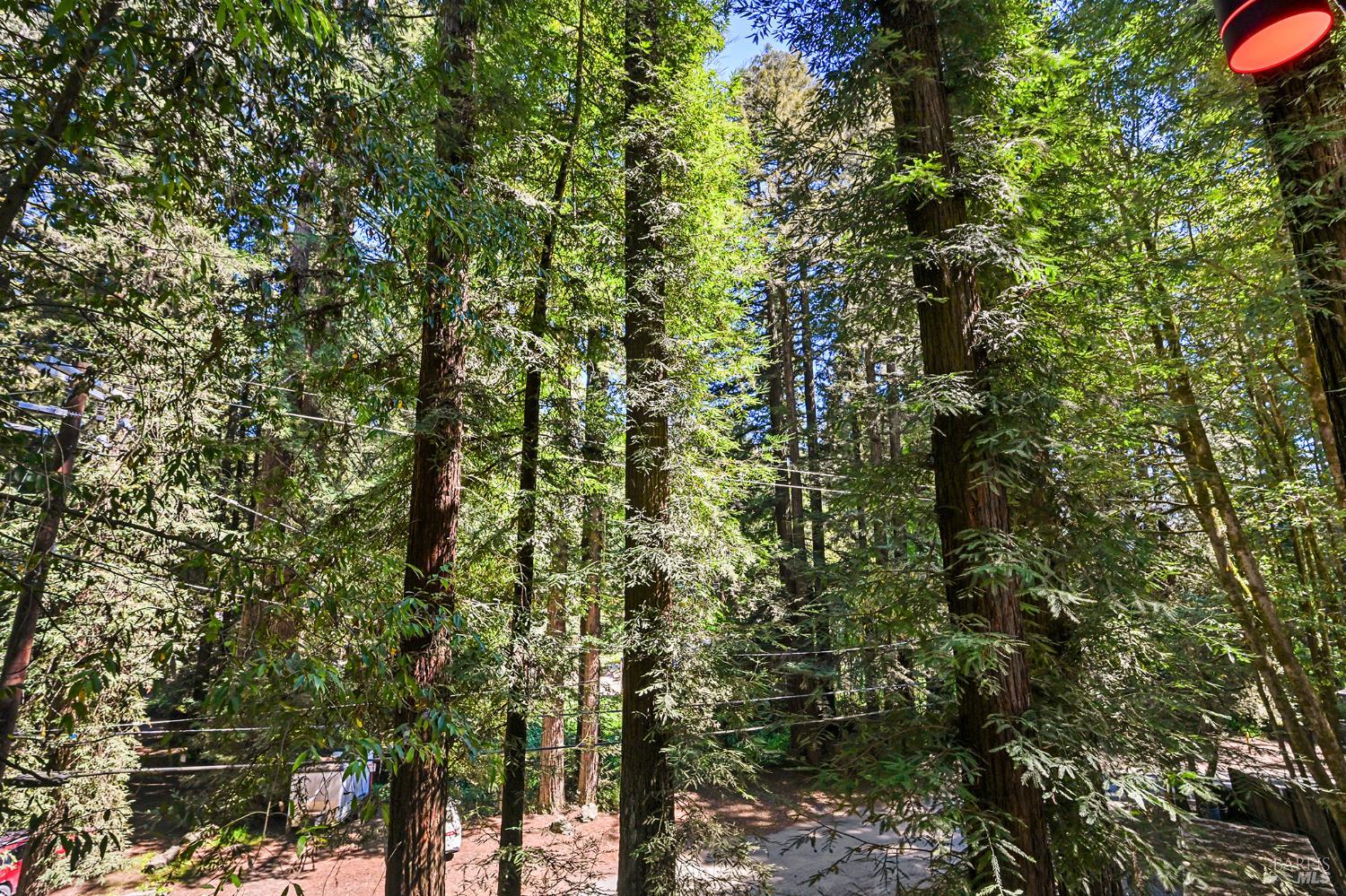 Detail Gallery Image 75 of 84 For 14685 Willow Rd, Guerneville,  CA 95446 - 3 Beds | 3 Baths