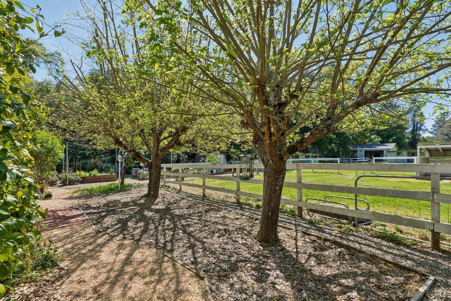 Detail Gallery Image 85 of 98 For 1195 Congress Valley Rd, Napa,  CA 94558 - 4 Beds | 4 Baths