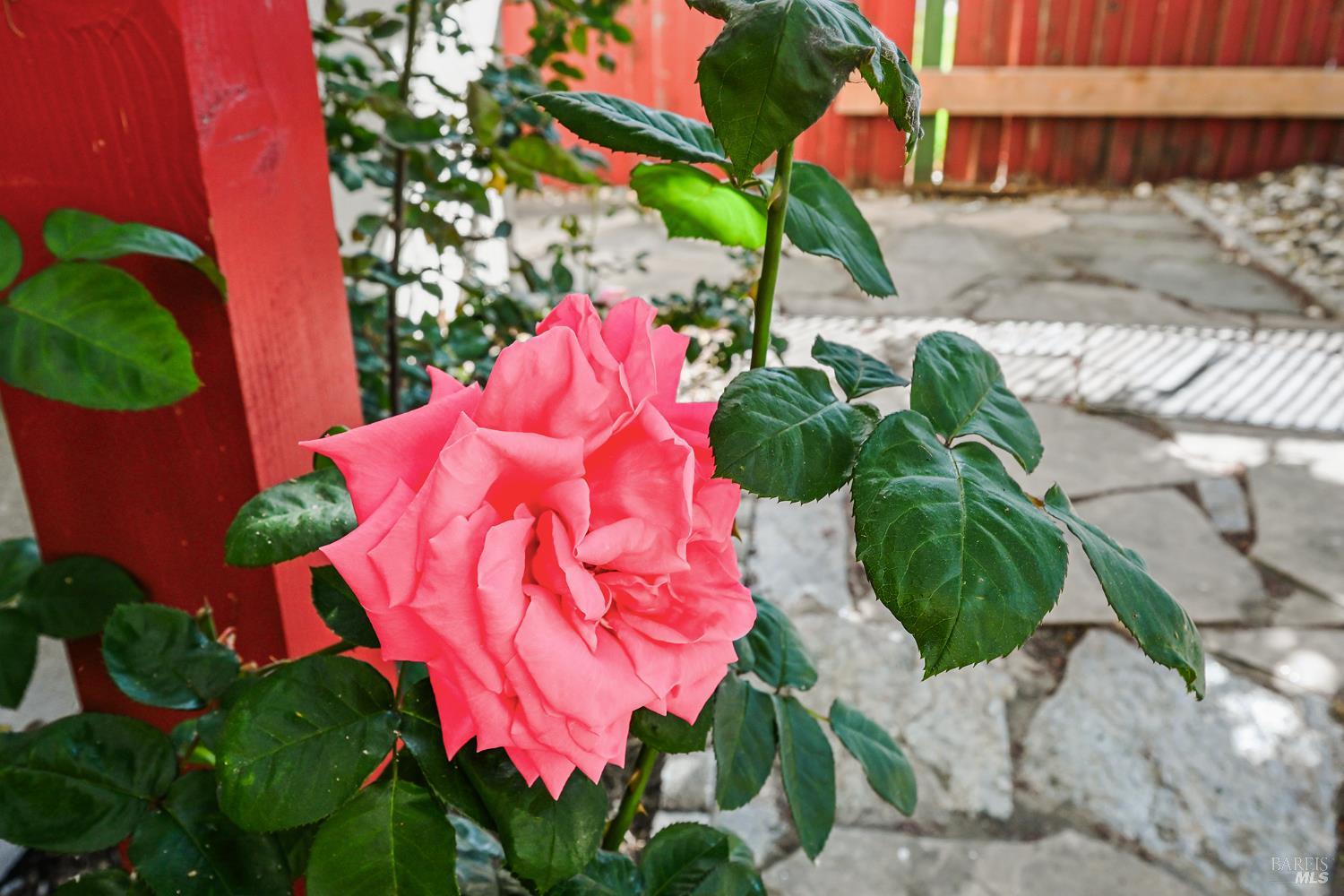 Detail Gallery Image 30 of 51 For 2824 Elk Ln, Santa Rosa,  CA 95407 - 4 Beds | 2/1 Baths