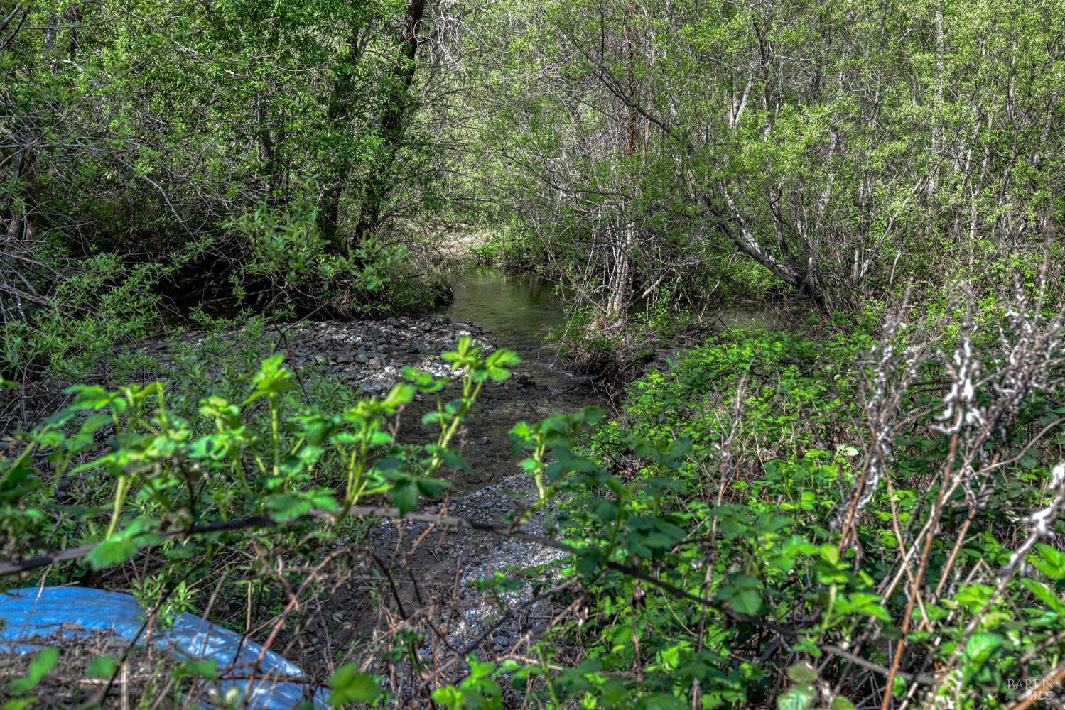 Detail Gallery Image 6 of 72 For 12300 Skaggs Rd, Geyserville,  CA 95441 - 2 Beds | 2 Baths