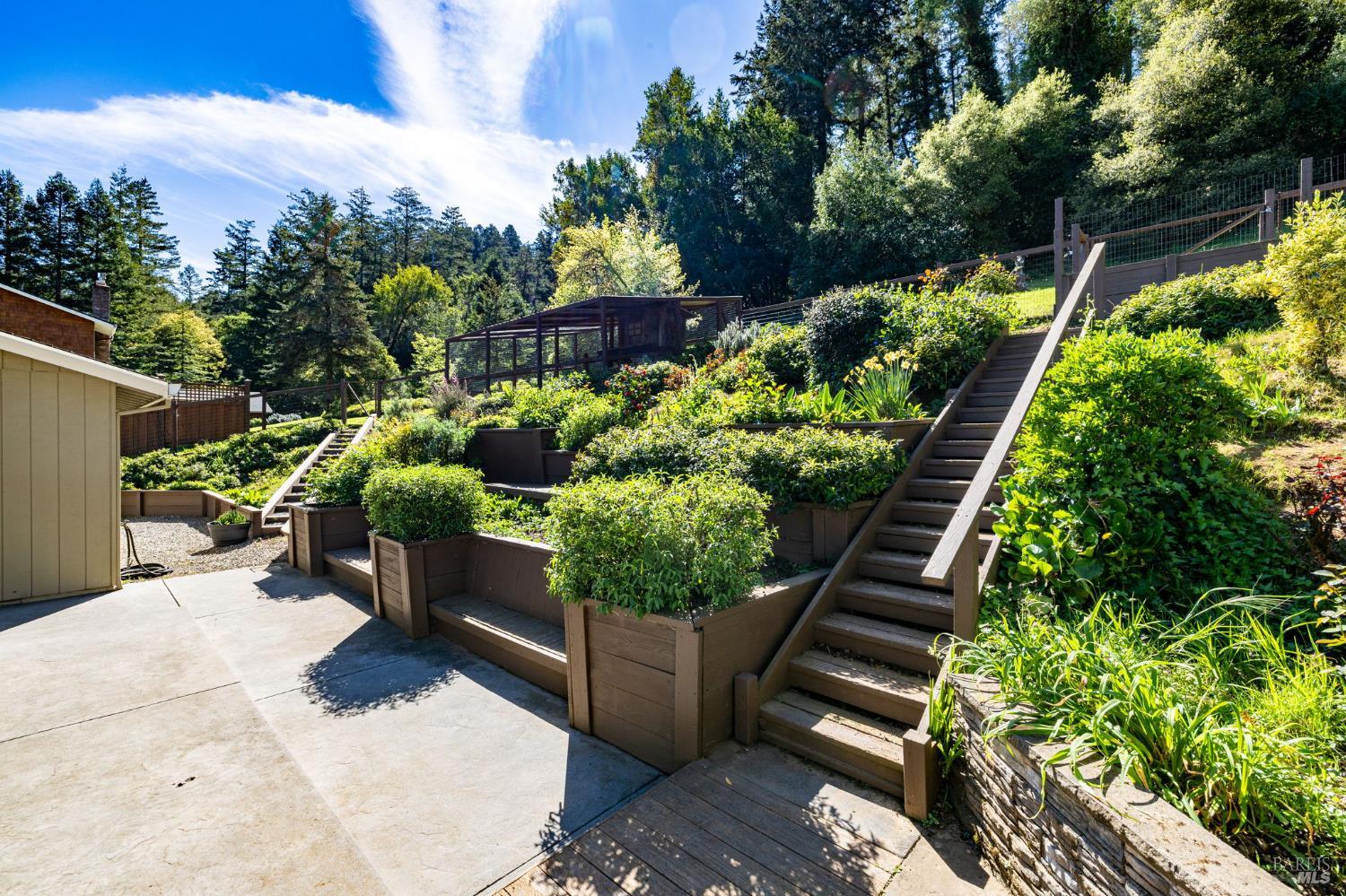 Detail Gallery Image 66 of 82 For 433 San Geronimo Valley Dr, San Geronimo,  CA 94963 - 4 Beds | 2/1 Baths