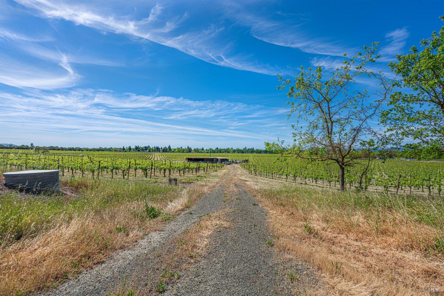 Detail Gallery Image 46 of 60 For 590 Pleasant Ave, Santa Rosa,  CA 95403 - 4 Beds | 3 Baths