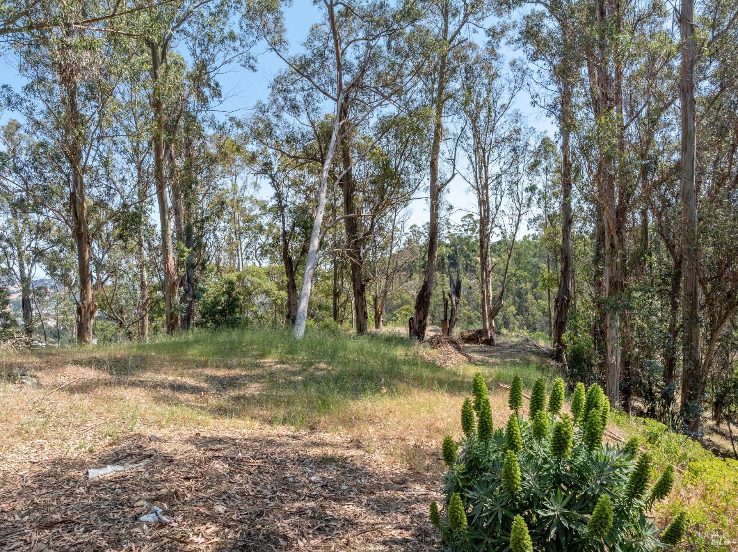 Detail Gallery Image 4 of 8 For 0 Chula Vista Dr, San Rafael,  CA 94901 - – Beds | – Baths