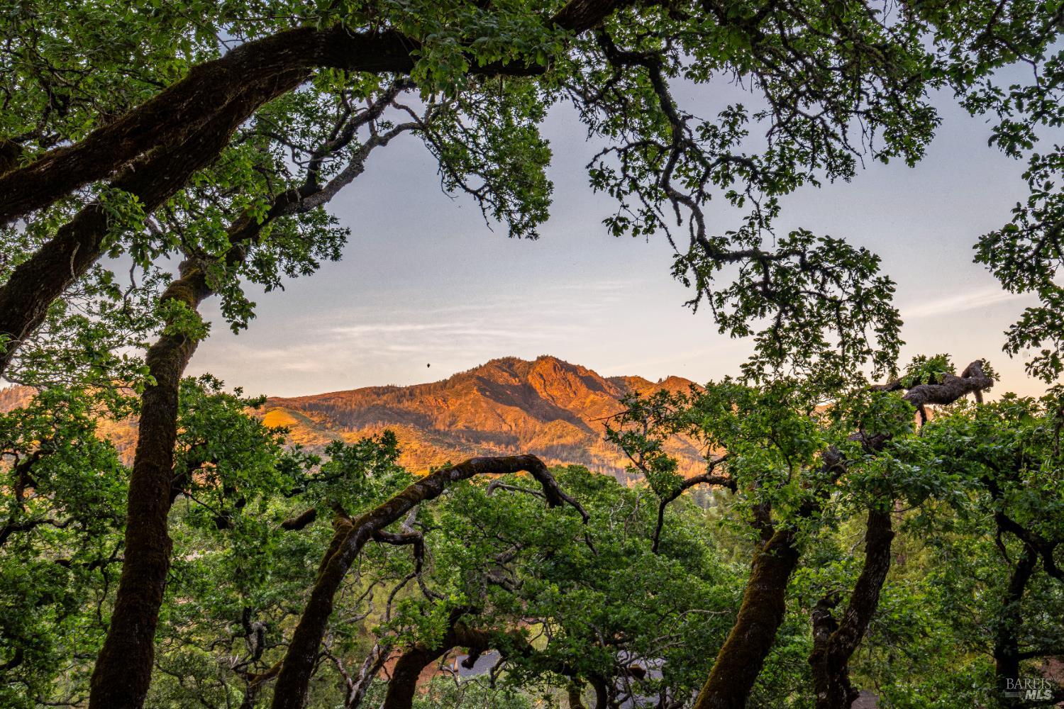 Detail Gallery Image 38 of 53 For 807 Wild Oak Dr, Santa Rosa,  CA 95409 - 3 Beds | 3/1 Baths