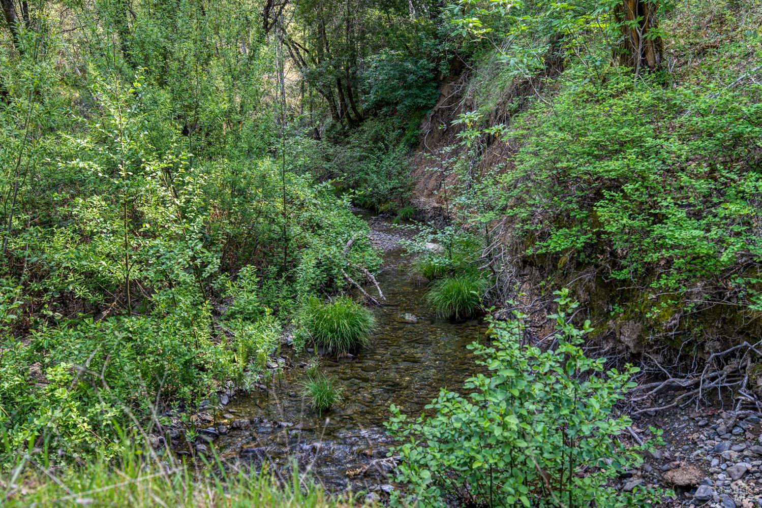 Detail Gallery Image 5 of 72 For 12300 Skaggs Rd, Geyserville,  CA 95441 - 2 Beds | 2 Baths