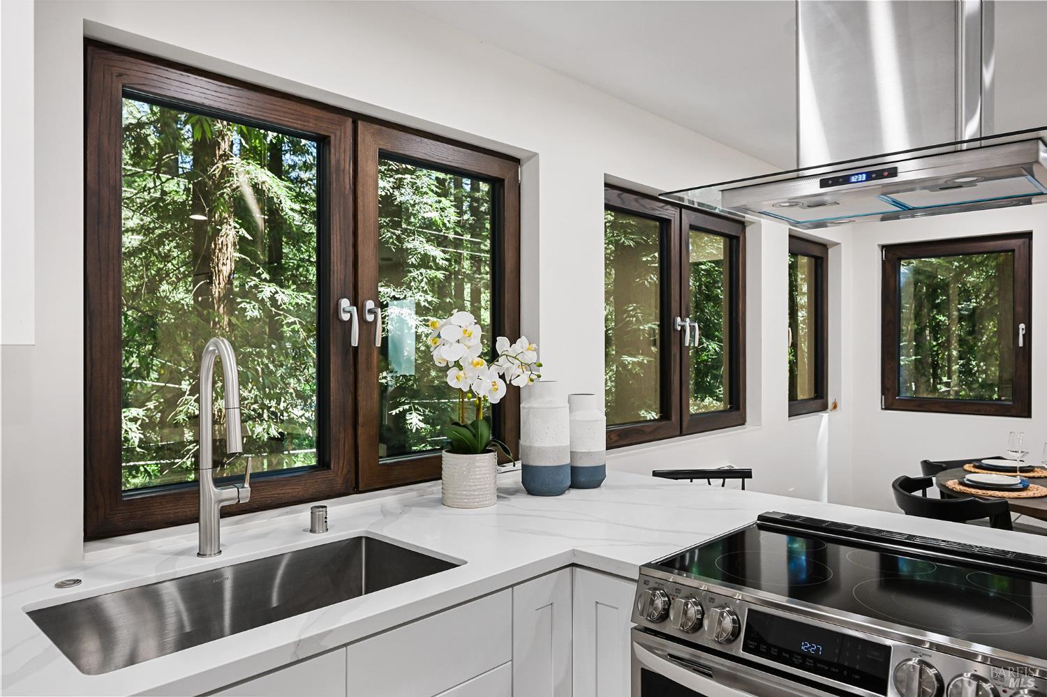 Detail Gallery Image 65 of 84 For 14685 Willow Rd, Guerneville,  CA 95446 - 3 Beds | 3 Baths