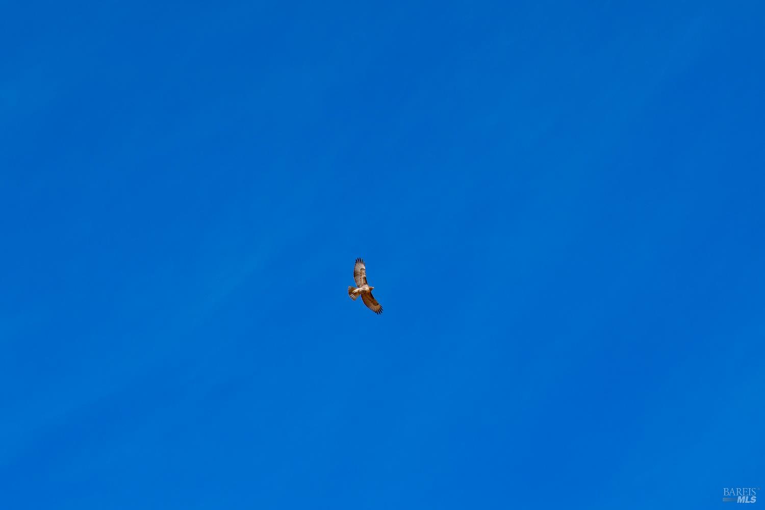 Detail Gallery Image 16 of 55 For 56701 Ca-162 Unkn, Covelo,  CA 95428 - – Beds | – Baths