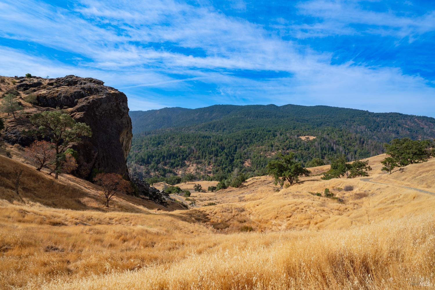 Detail Gallery Image 17 of 55 For 56701 Ca-162 Unkn, Covelo,  CA 95428 - – Beds | – Baths