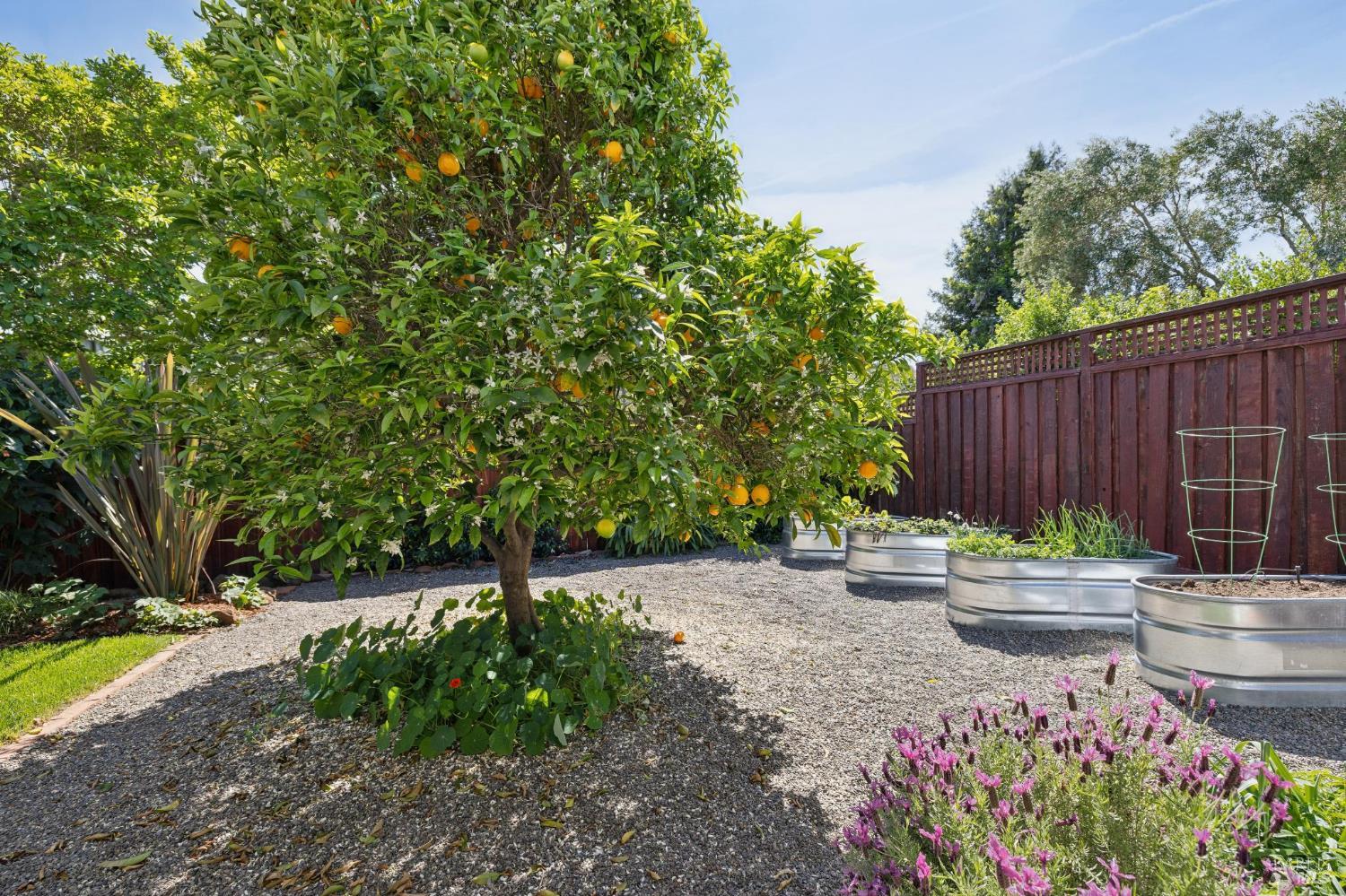 Detail Gallery Image 30 of 57 For 839 Greenberry Ln, San Rafael,  CA 94903 - 4 Beds | 2 Baths