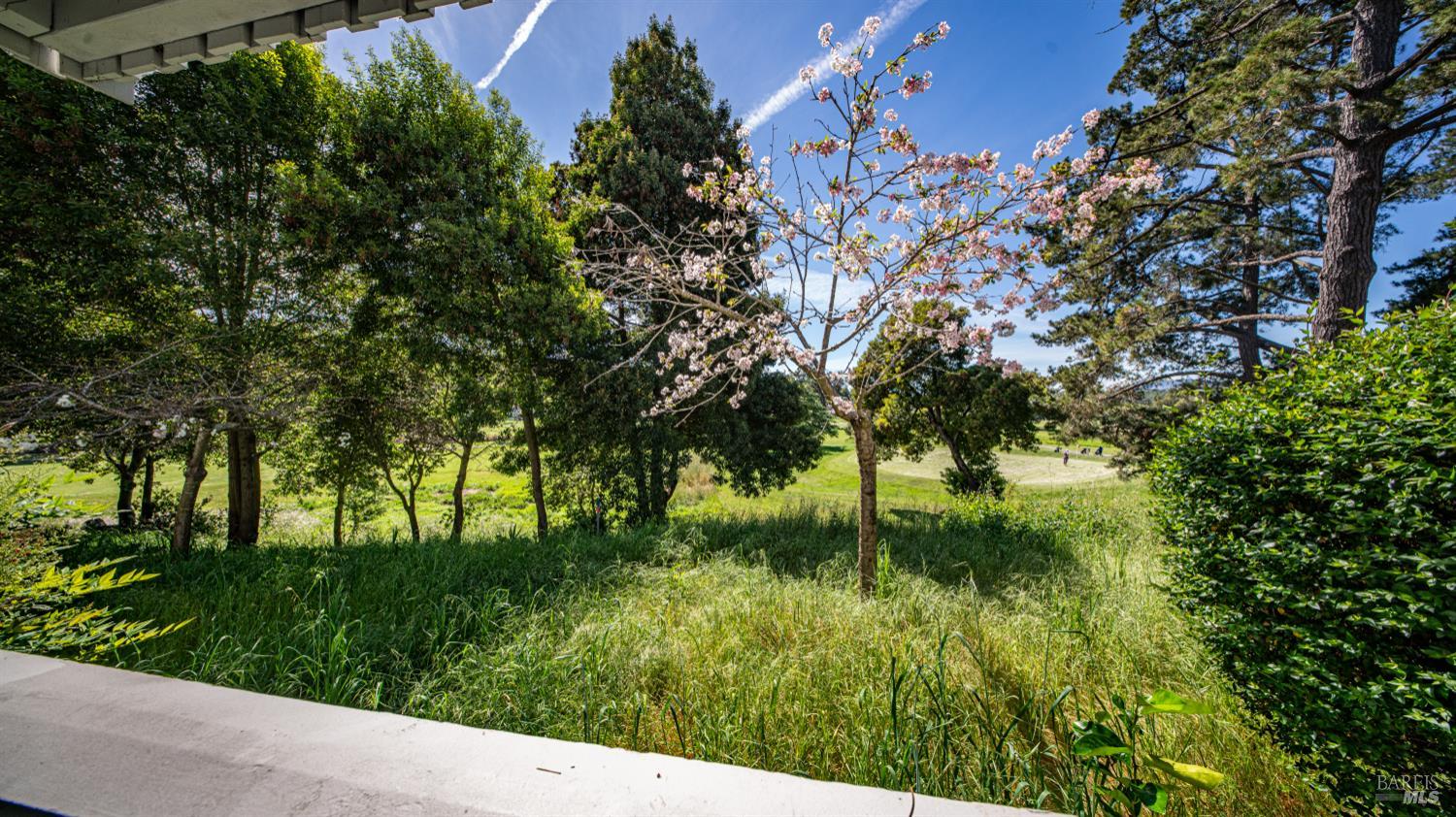 Detail Gallery Image 33 of 36 For 143 Knollwood Dr, San Rafael,  CA 94901 - 3 Beds | 2 Baths