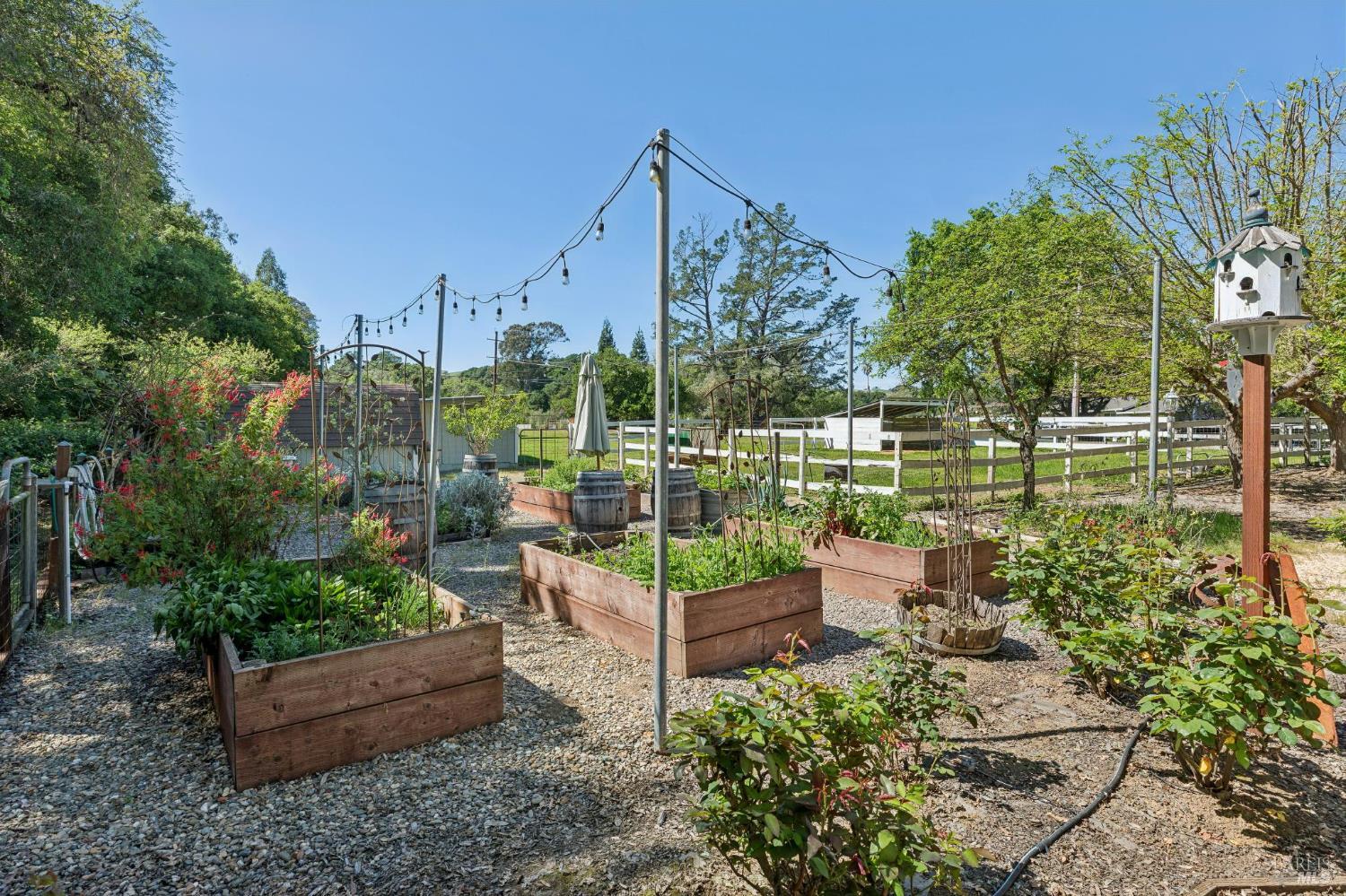 Detail Gallery Image 71 of 98 For 1195 Congress Valley Rd, Napa,  CA 94558 - 4 Beds | 4 Baths