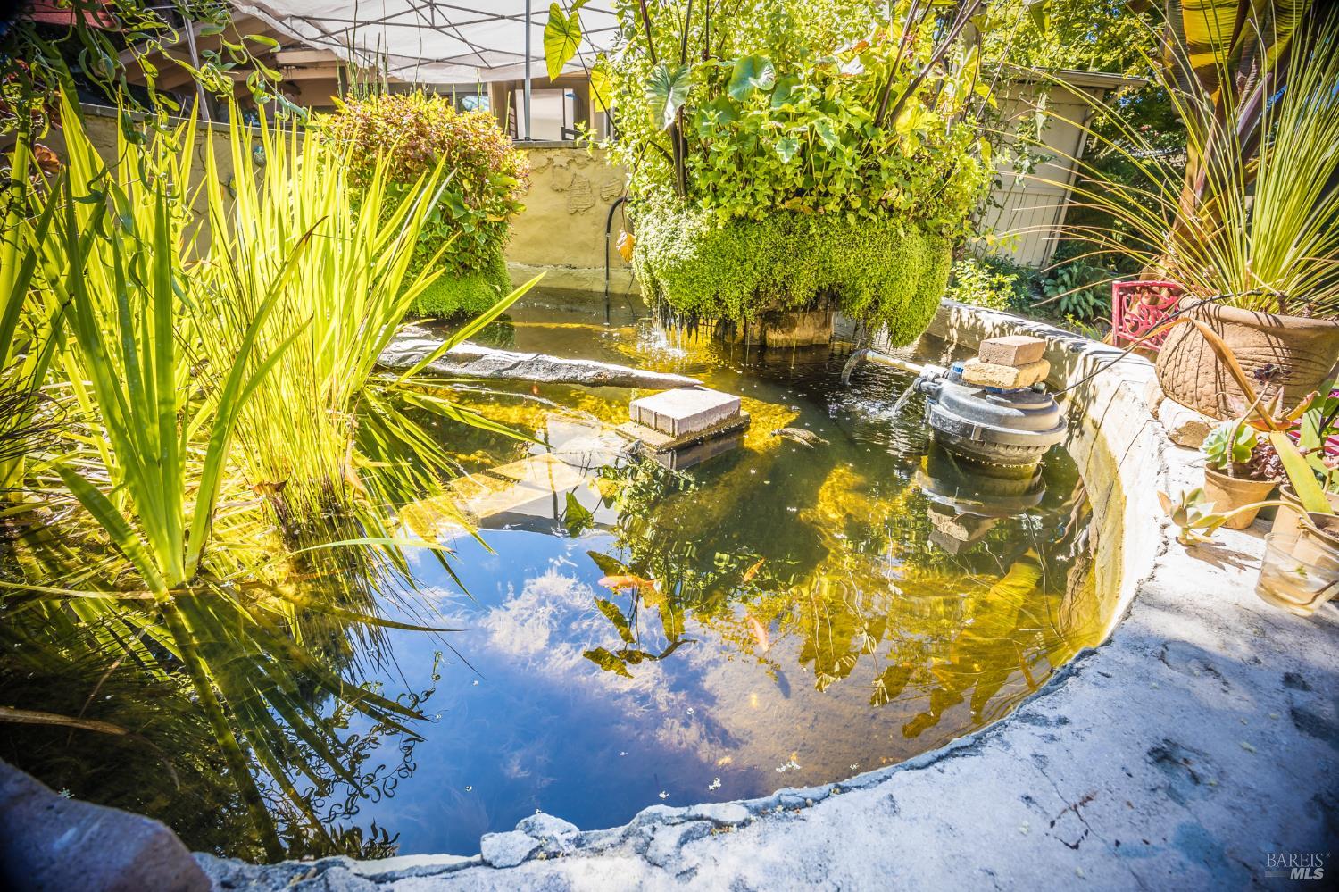 Detail Gallery Image 74 of 81 For 16390 4th St, Guerneville,  CA 95446 - – Beds | – Baths