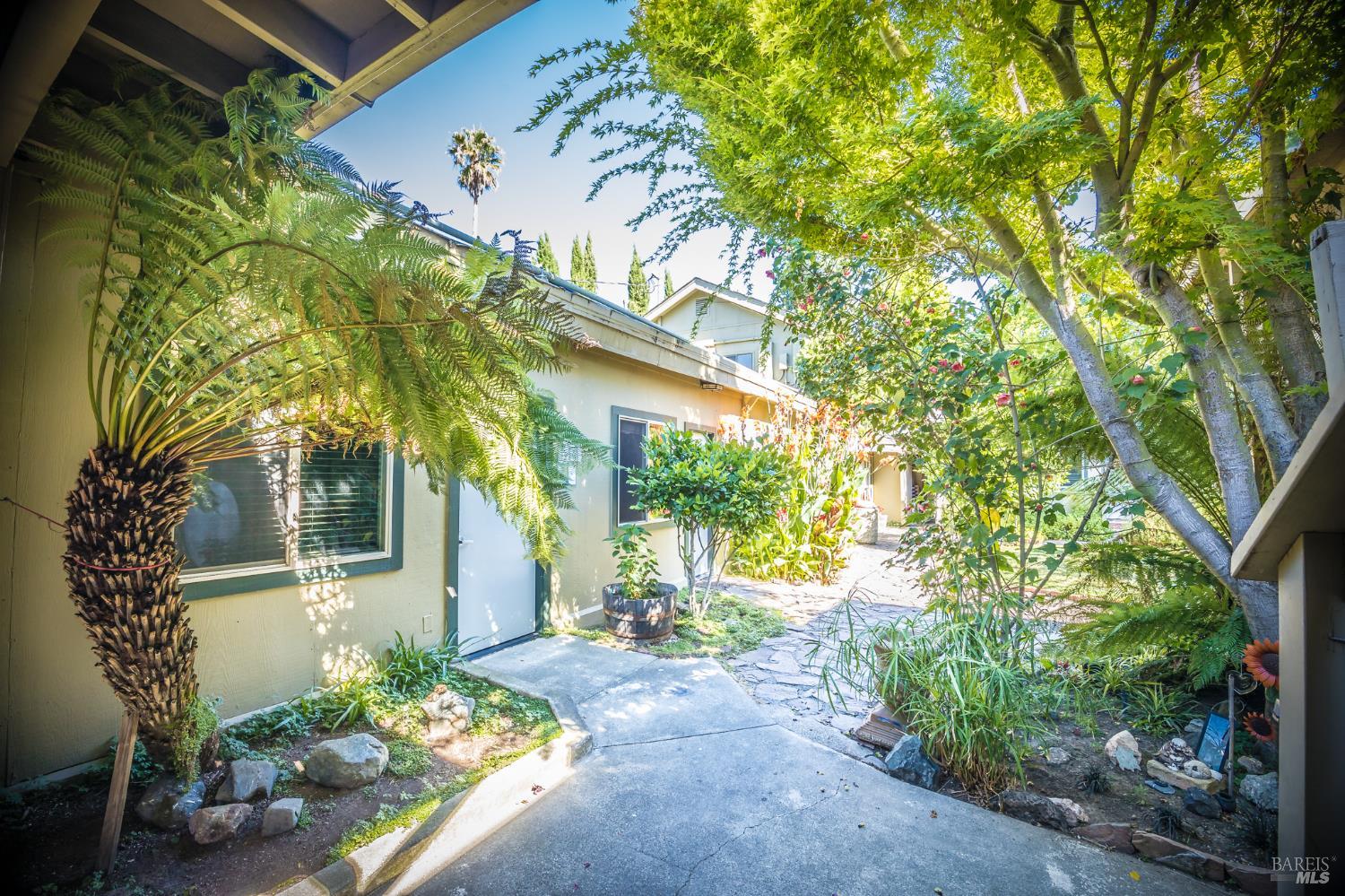 Detail Gallery Image 19 of 81 For 16390 4th St, Guerneville,  CA 95446 - – Beds | – Baths