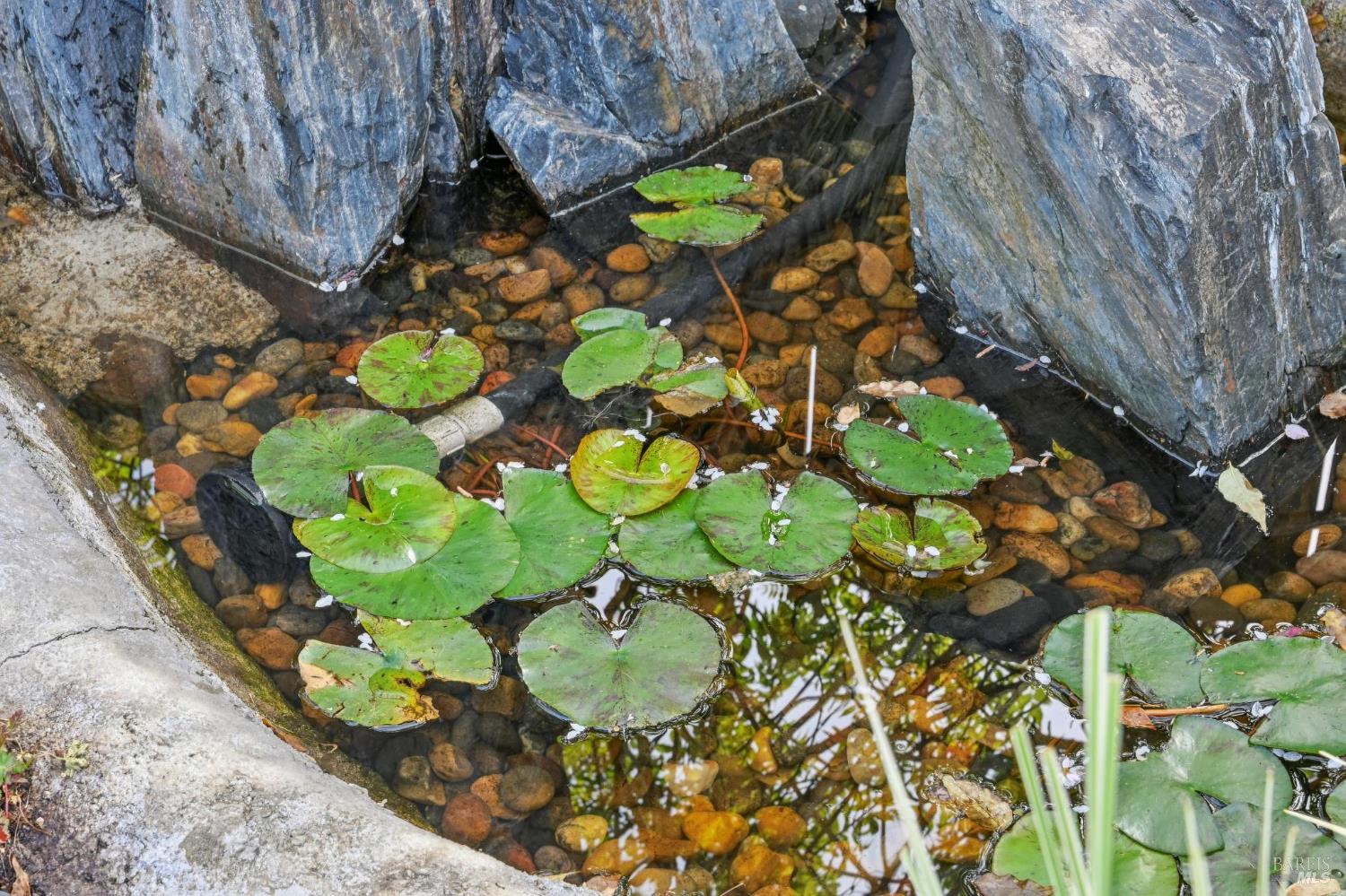 Detail Gallery Image 35 of 46 For 30 Rollingwood Dr, San Rafael,  CA 94901 - 3 Beds | 2 Baths