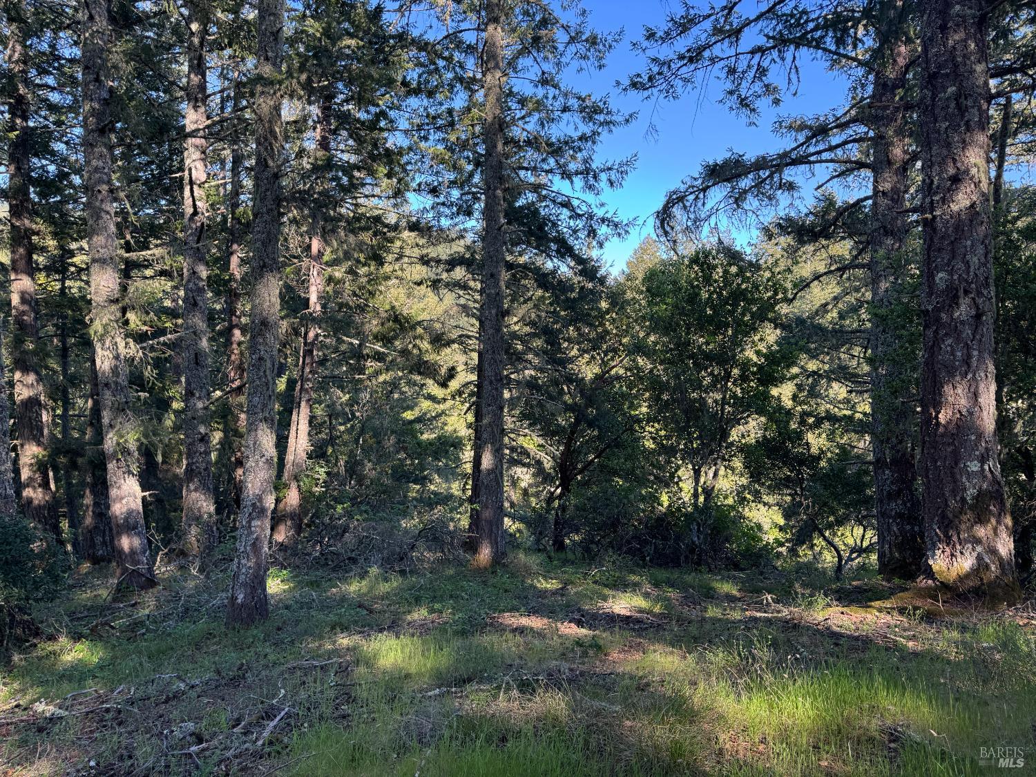 Detail Gallery Image 8 of 23 For 0 Vista Ave, Forest Knolls,  CA 94933 - – Beds | – Baths