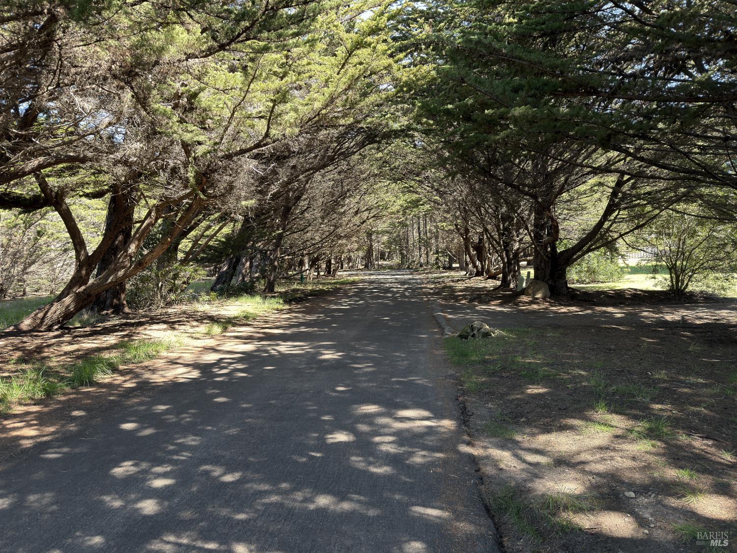 Detail Gallery Image 7 of 10 For 310 Fish Rock Unkn, The Sea Ranch,  CA 95497 - – Beds | – Baths