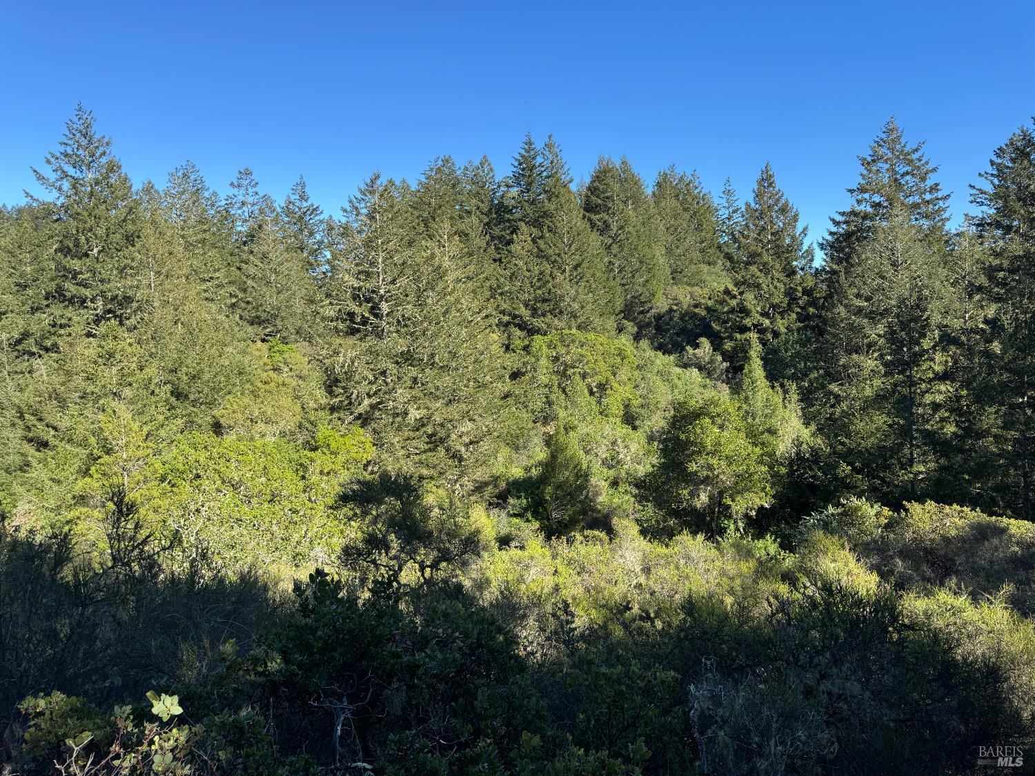 Detail Gallery Image 4 of 23 For 0 Vista Ave, Forest Knolls,  CA 94933 - – Beds | – Baths