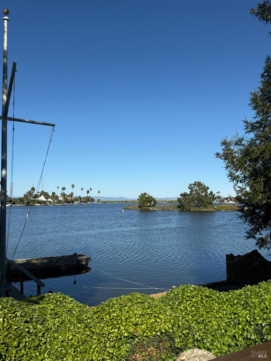 45 Bahama Reef None photo 3