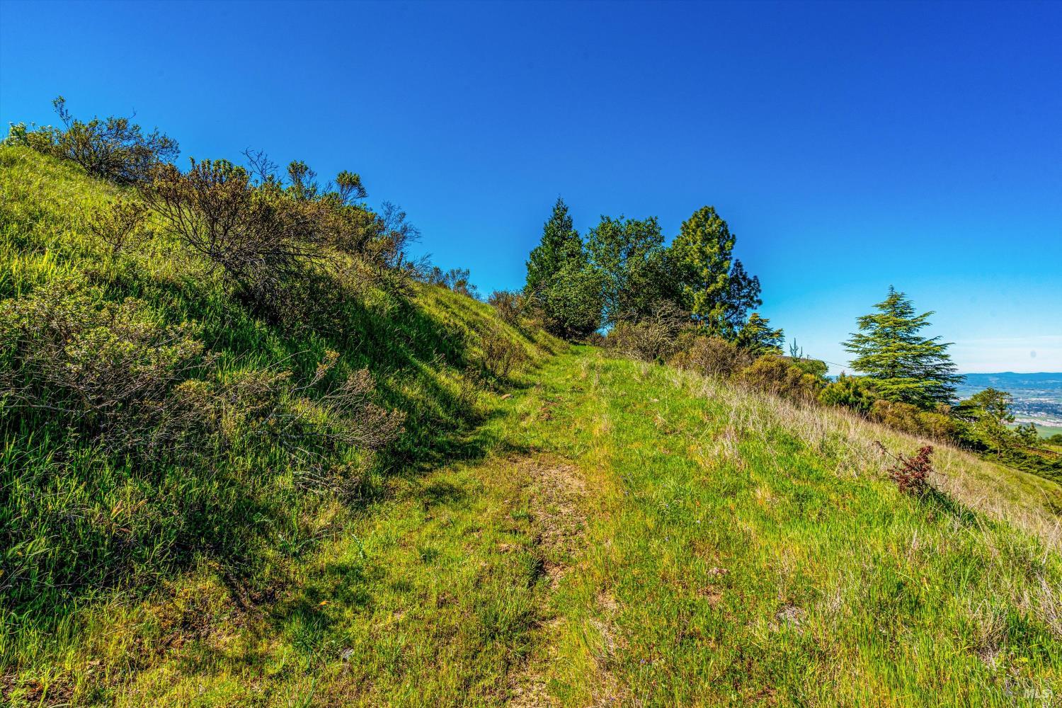 Detail Gallery Image 20 of 99 For 6048 Hyland Way, Penngrove,  CA 94951 - – Beds | – Baths