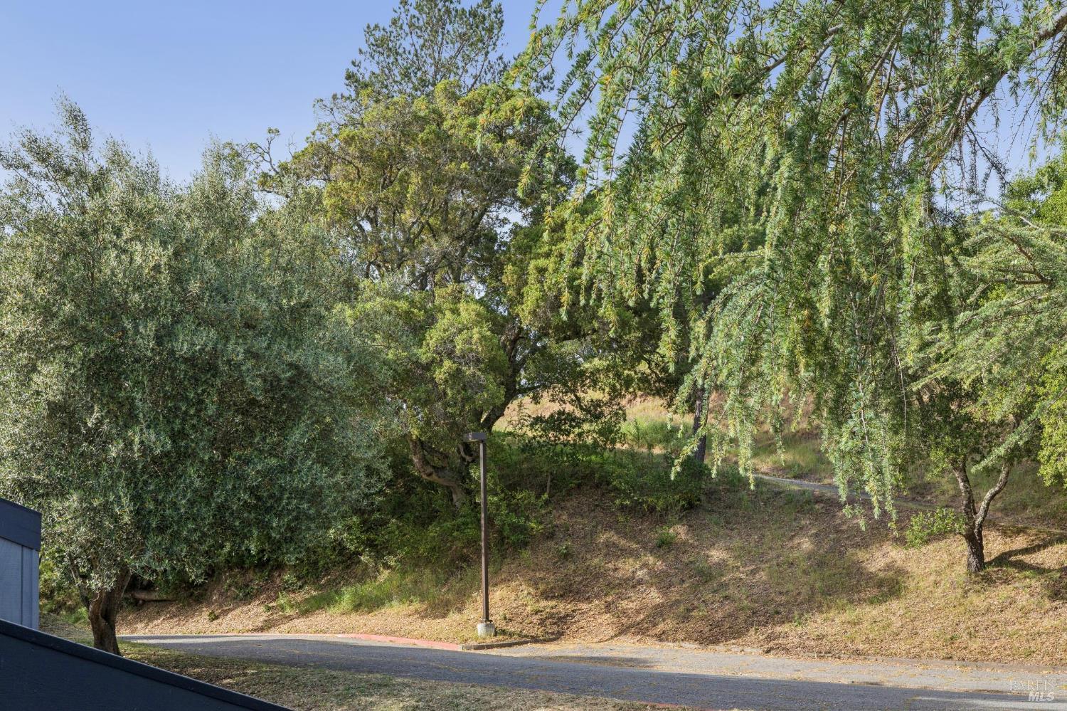 Detail Gallery Image 39 of 62 For 11 Love Ct, Fairfax,  CA 94930 - 2 Beds | 2/1 Baths