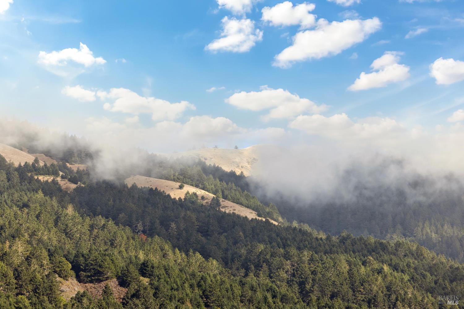 Detail Gallery Image 30 of 63 For 297 Seadrift Rd, Stinson Beach,  CA 94970 - 3 Beds | 2 Baths