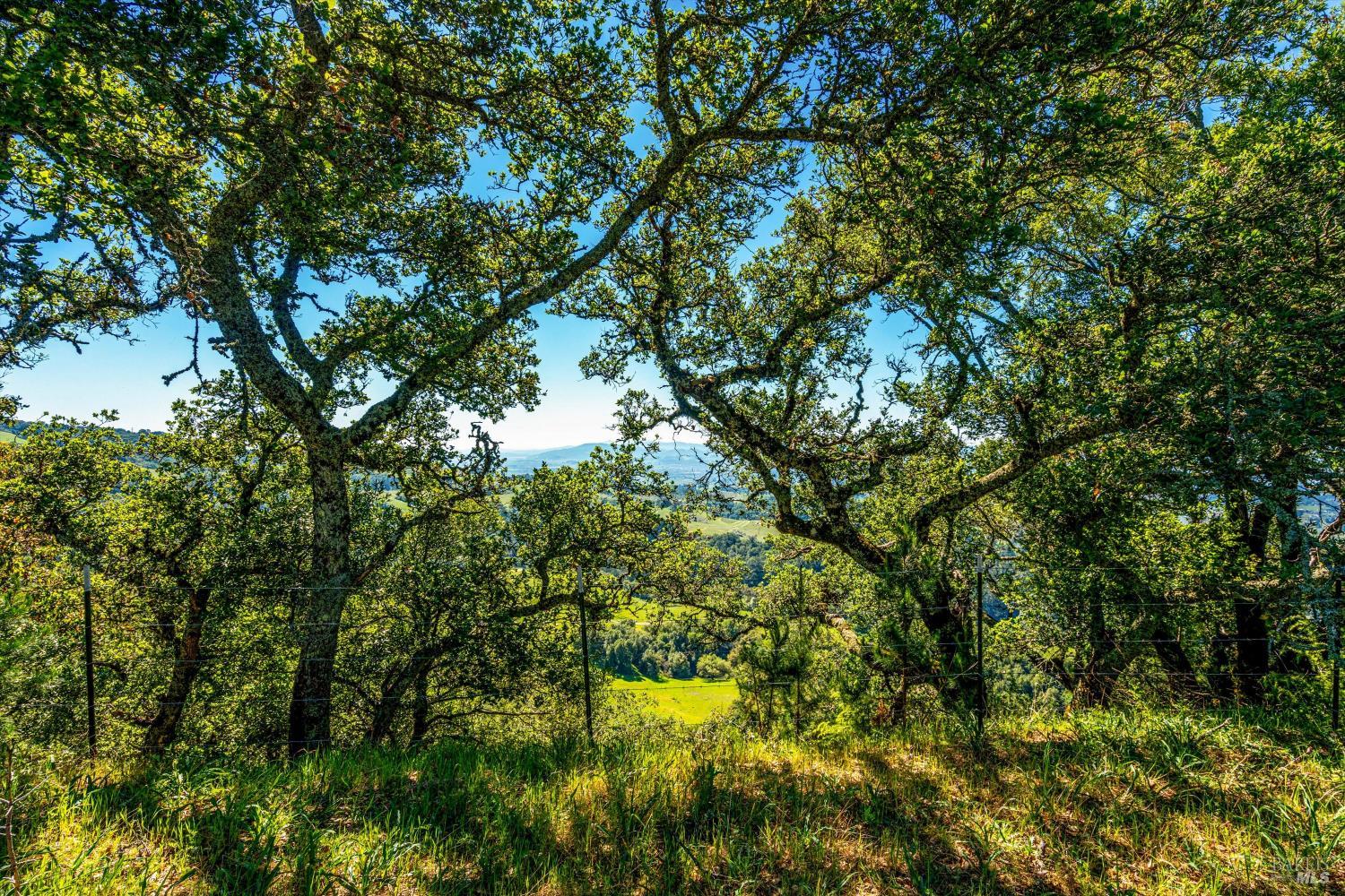 Detail Gallery Image 36 of 99 For 6048 Hyland Way, Penngrove,  CA 94951 - – Beds | – Baths