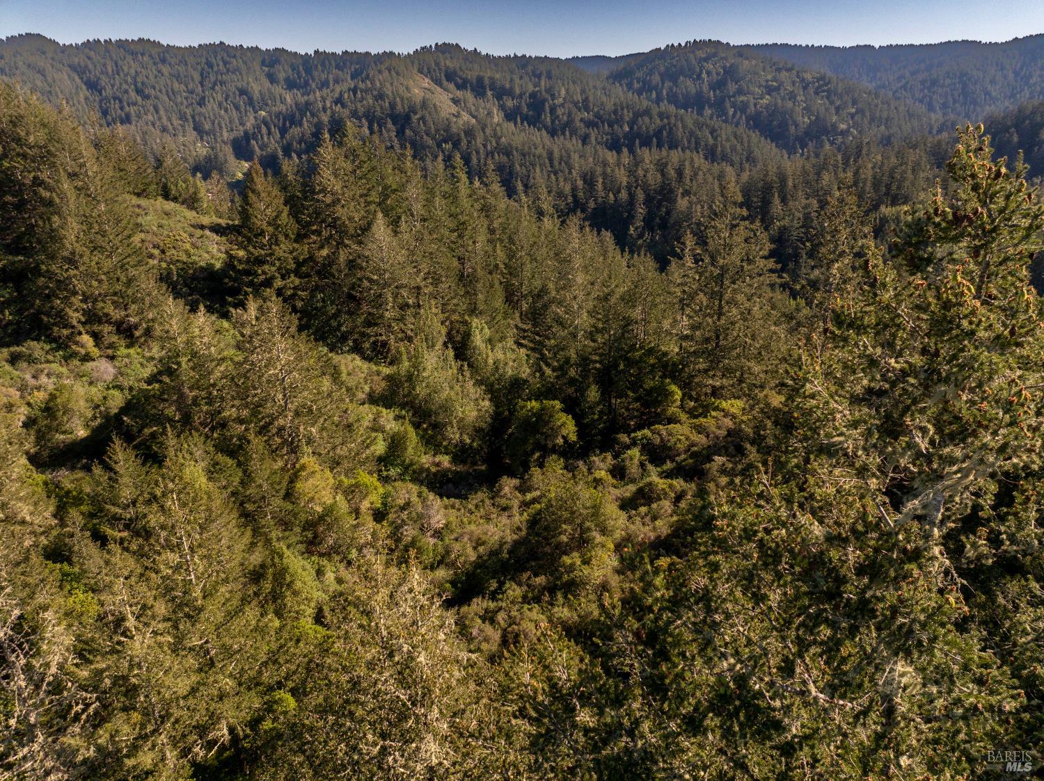 Detail Gallery Image 11 of 23 For 0 Vista Ave, Forest Knolls,  CA 94933 - – Beds | – Baths