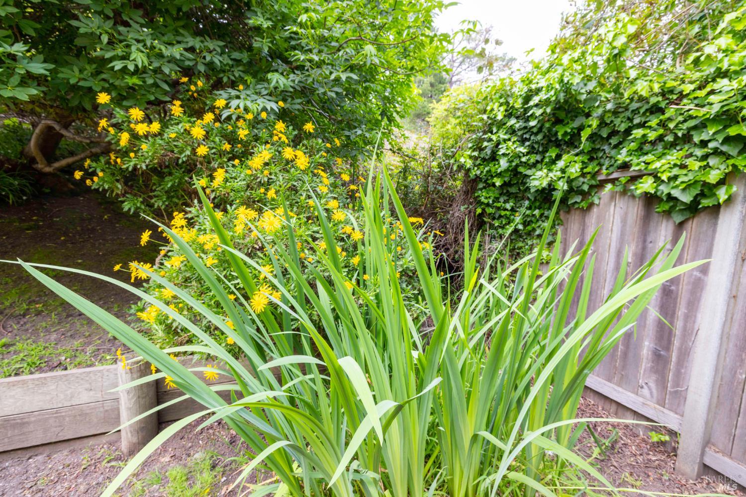 Detail Gallery Image 23 of 39 For 10 Park Ave, Bolinas,  CA 94924 - 2 Beds | 1/1 Baths