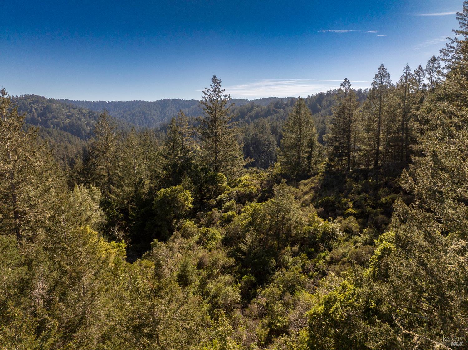 Detail Gallery Image 14 of 23 For 0 Vista Ave, Forest Knolls,  CA 94933 - – Beds | – Baths