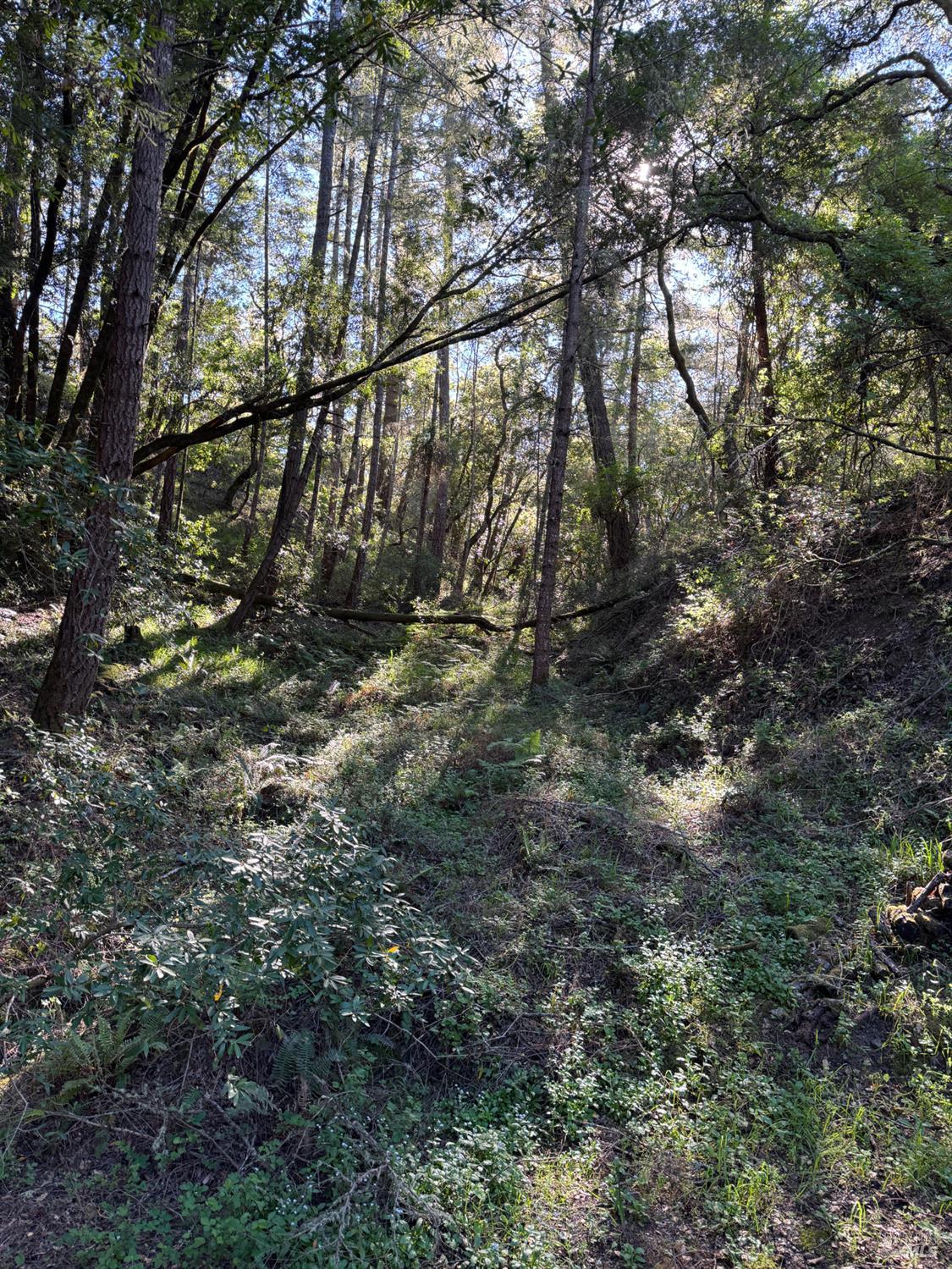 Detail Gallery Image 17 of 23 For 0 Vista Ave, Forest Knolls,  CA 94933 - – Beds | – Baths