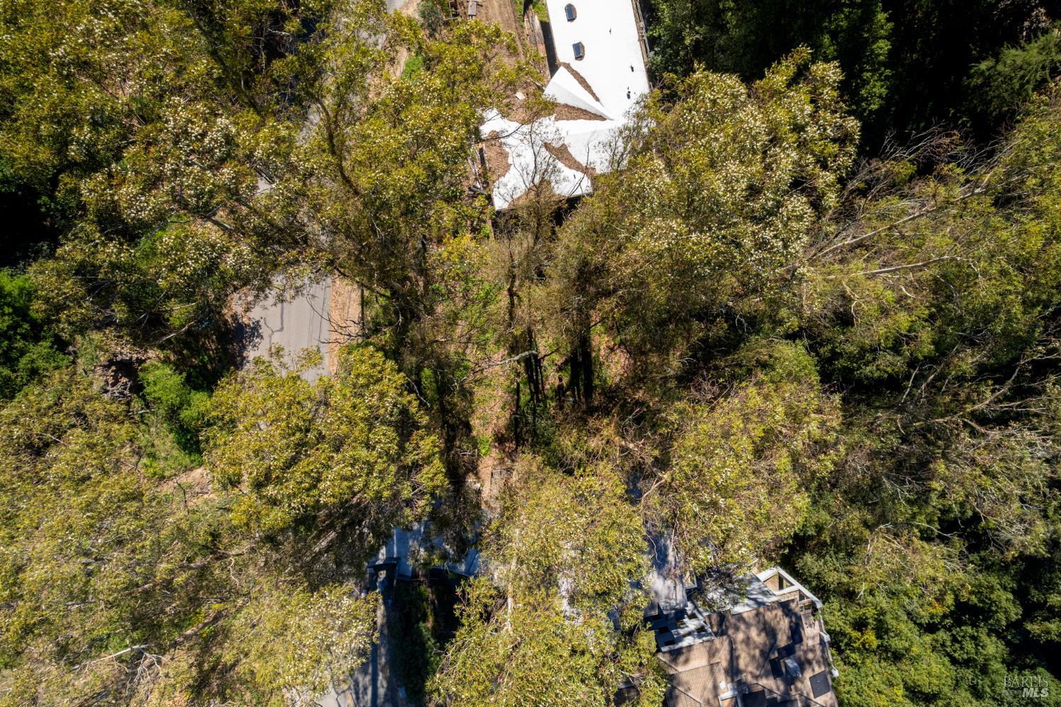 Detail Gallery Image 7 of 17 For 0 Skyline Blvd, Oakland,  CA 94603 - – Beds | – Baths