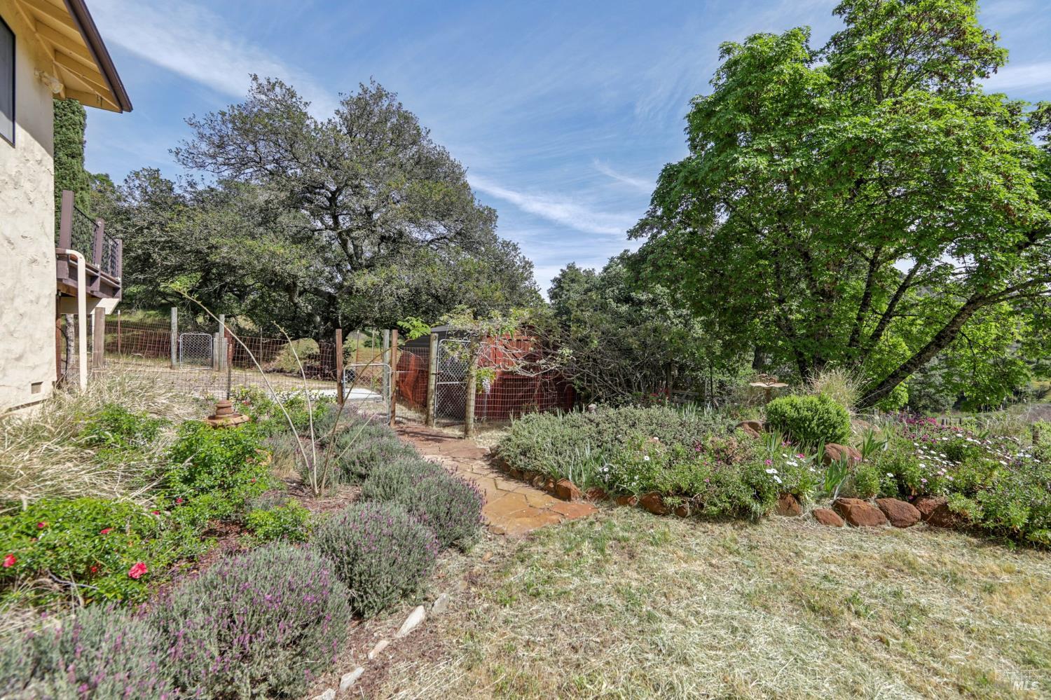 Detail Gallery Image 60 of 96 For 4084 Atlas Peak Rd, Napa,  CA 94558 - 5 Beds | 3/1 Baths