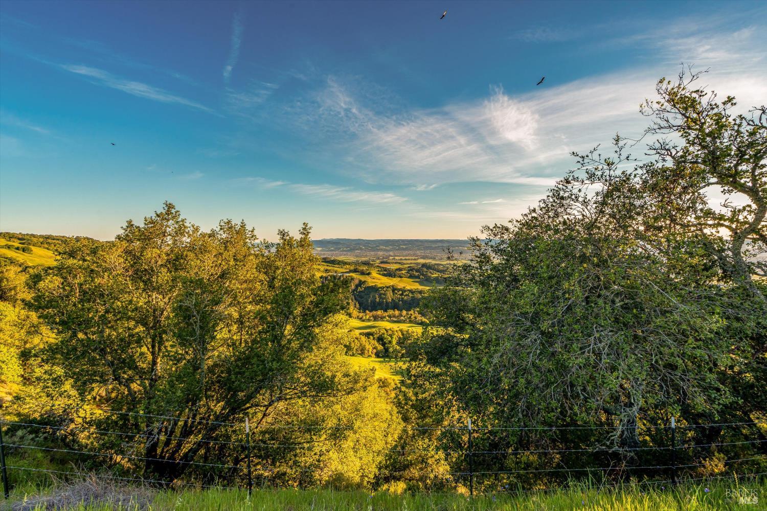 Detail Gallery Image 81 of 99 For 6048 Hyland Way, Penngrove,  CA 94951 - – Beds | – Baths