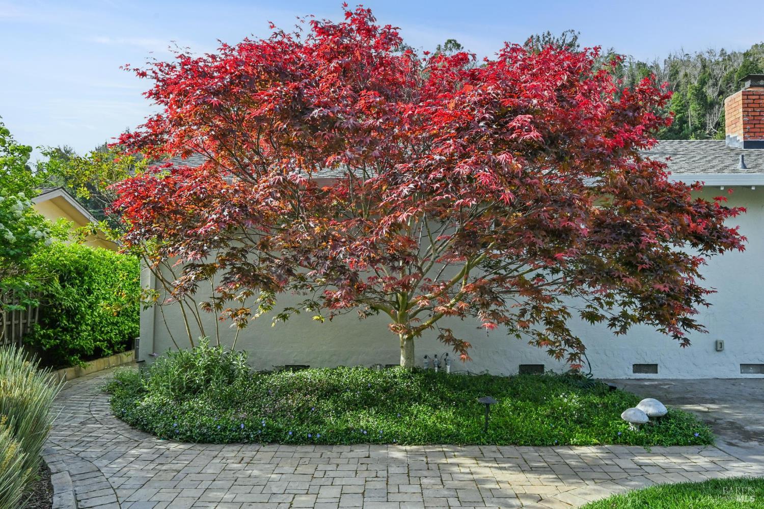 Detail Gallery Image 36 of 46 For 30 Rollingwood Dr, San Rafael,  CA 94901 - 3 Beds | 2 Baths