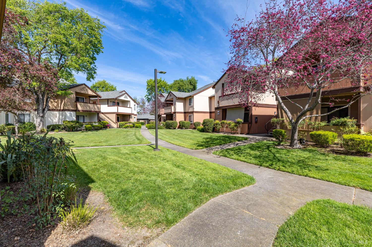 Detail Gallery Image 3 of 31 For 8201 Camino Colegio Unkn #45,  Rohnert Park,  CA 94928 - 1 Beds | 1 Baths