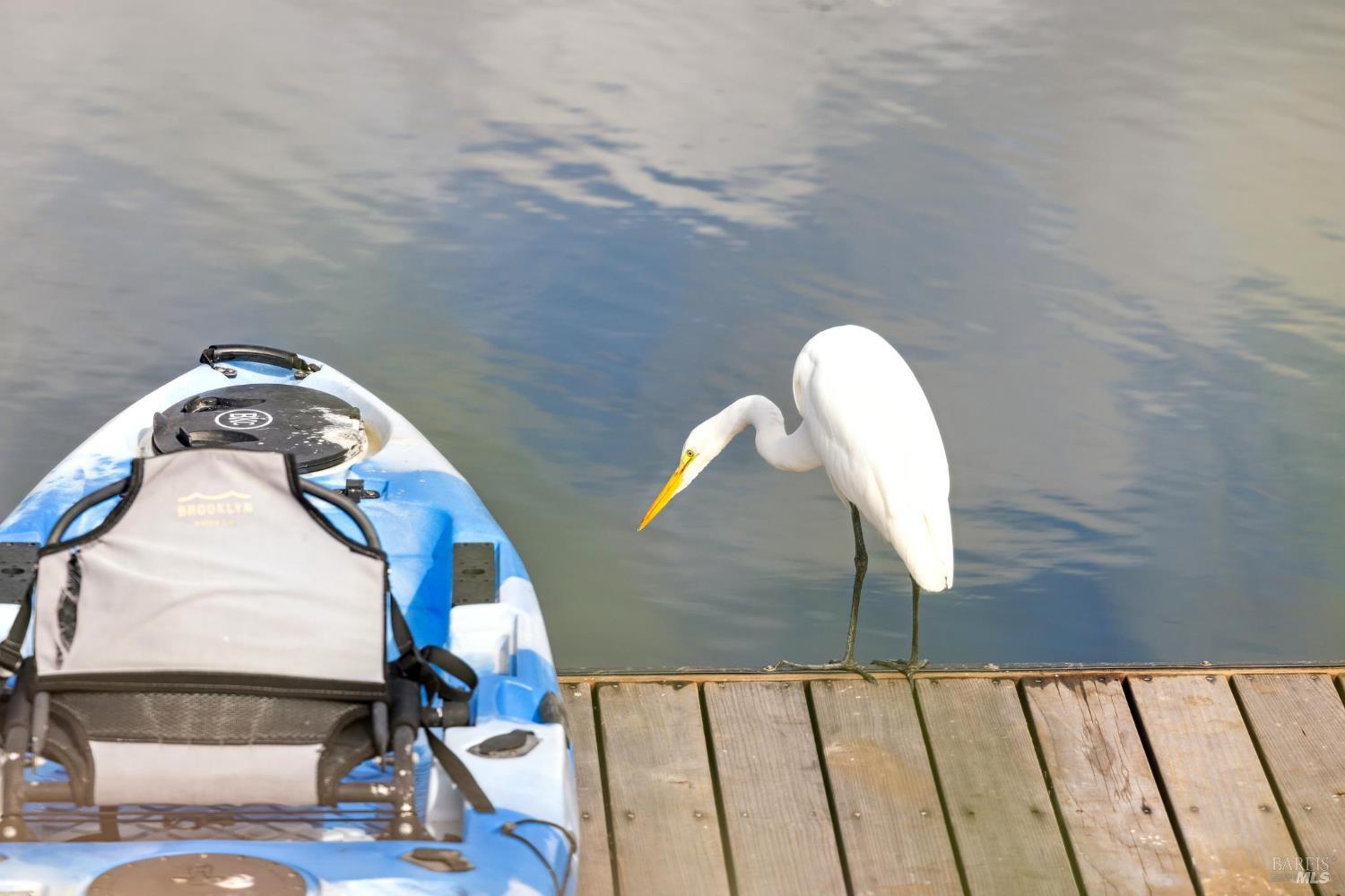 Detail Gallery Image 15 of 63 For 297 Seadrift Rd, Stinson Beach,  CA 94970 - 3 Beds | 2 Baths