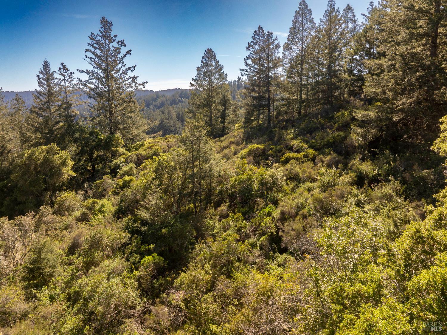 Detail Gallery Image 7 of 23 For 0 Vista Ave, Forest Knolls,  CA 94933 - – Beds | – Baths