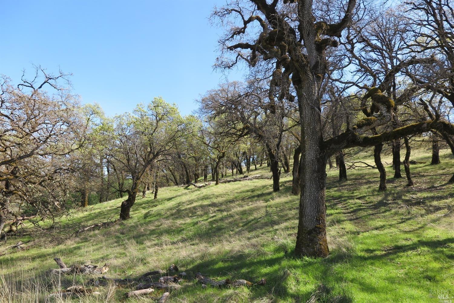 Detail Gallery Image 2 of 37 For 12950 Eagle Rock Rd, Hopland,  CA 95449 - – Beds | – Baths