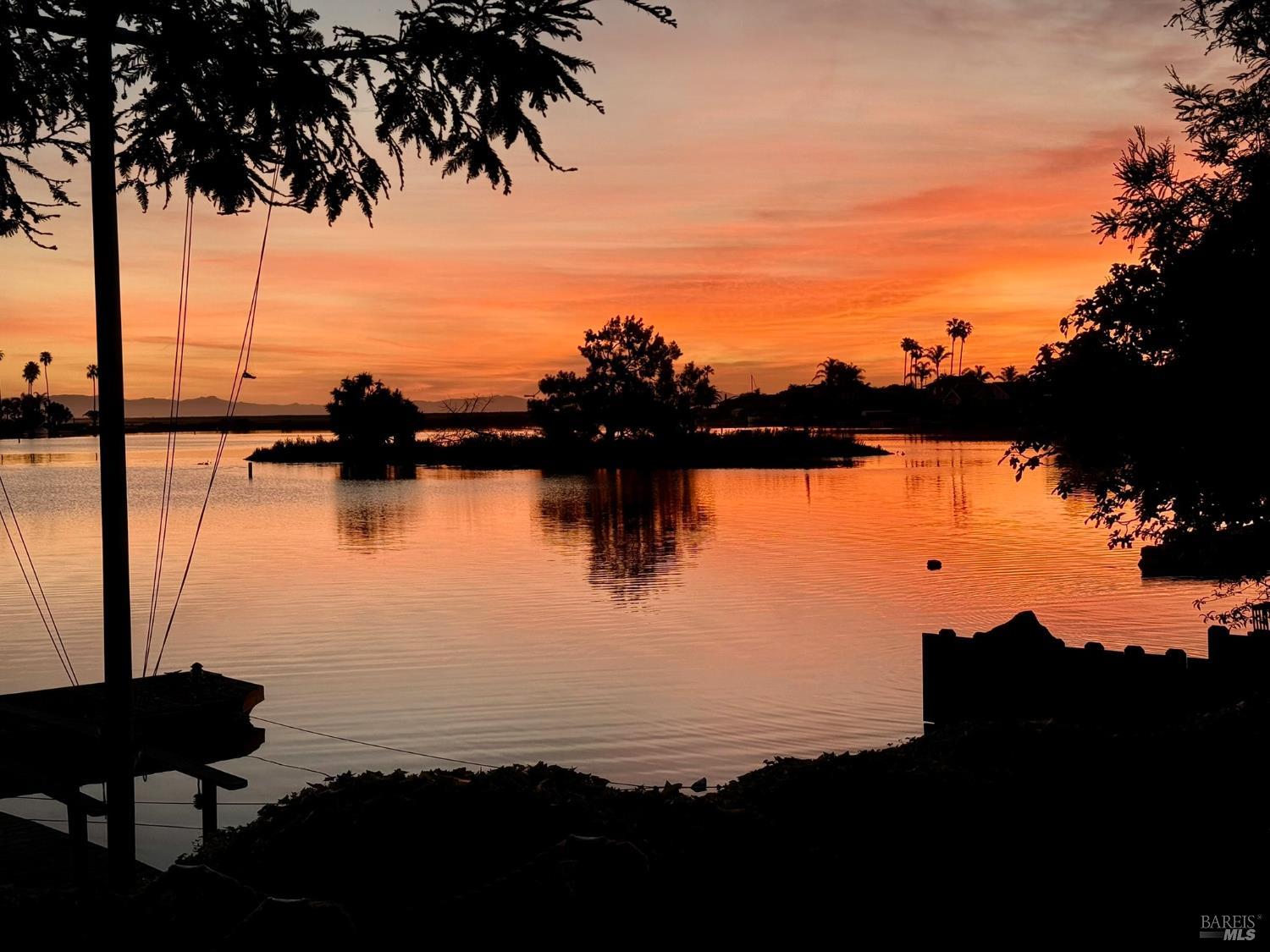 45 Bahama Reef None photo 2