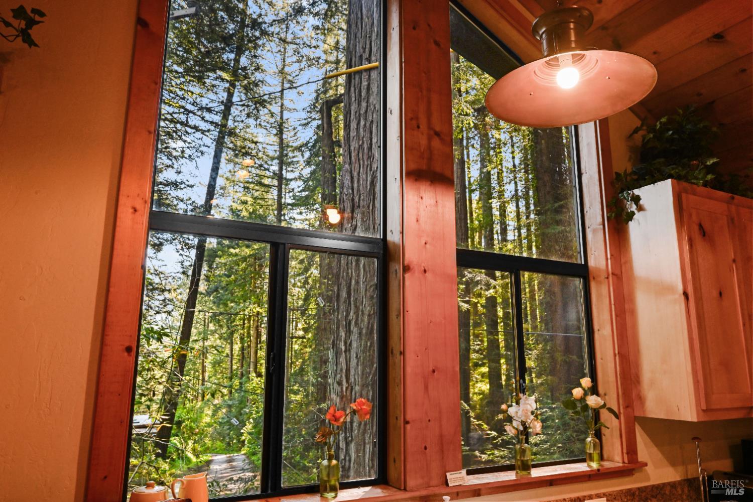 Detail Gallery Image 12 of 36 For 9 Huckleberry Hts, Cazadero,  CA 95421 - 1 Beds | 1 Baths