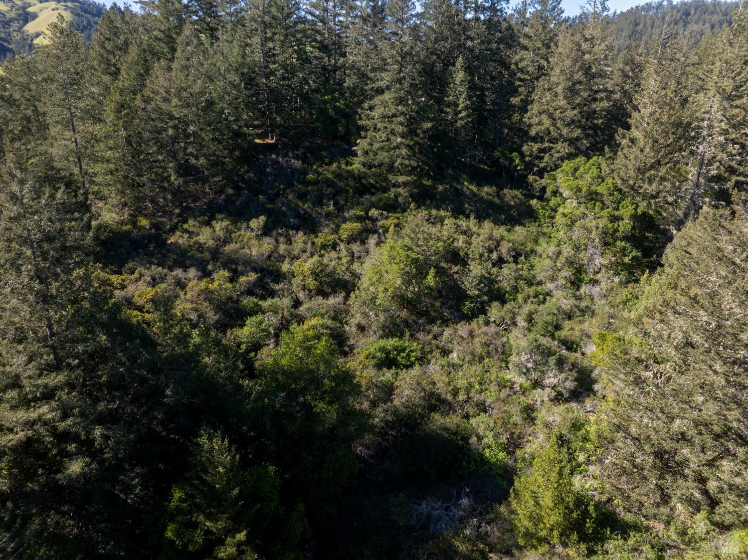 Detail Gallery Image 6 of 23 For 0 Vista Ave, Forest Knolls,  CA 94933 - – Beds | – Baths