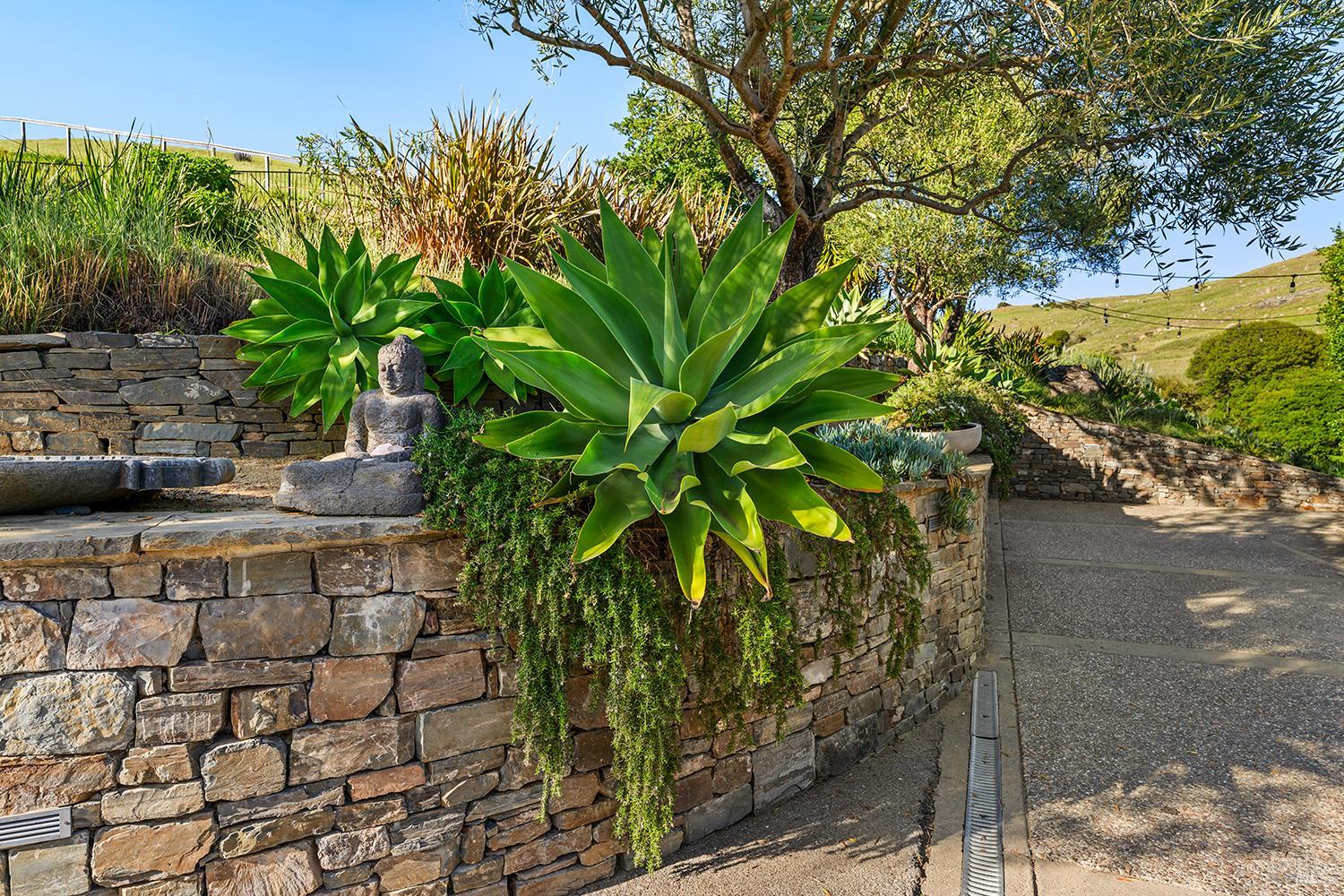 Detail Gallery Image 8 of 69 For 8 Mariposa Ct, Tiburon,  CA 94920 - 4 Beds | 5/2 Baths