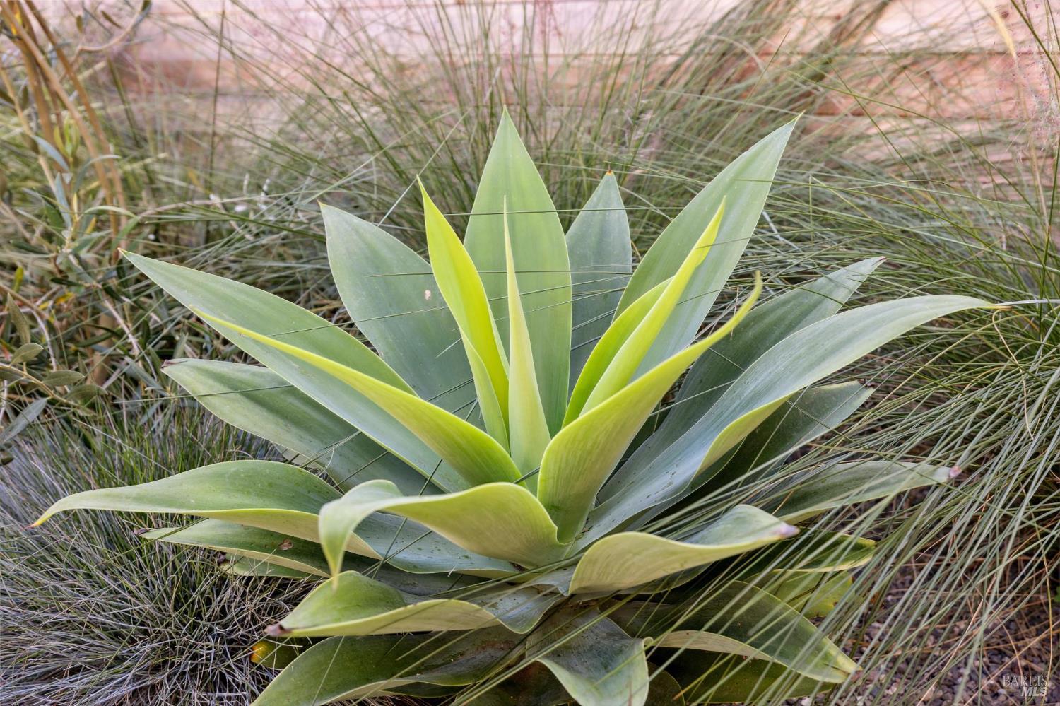 Detail Gallery Image 27 of 63 For 297 Seadrift Rd, Stinson Beach,  CA 94970 - 3 Beds | 2 Baths