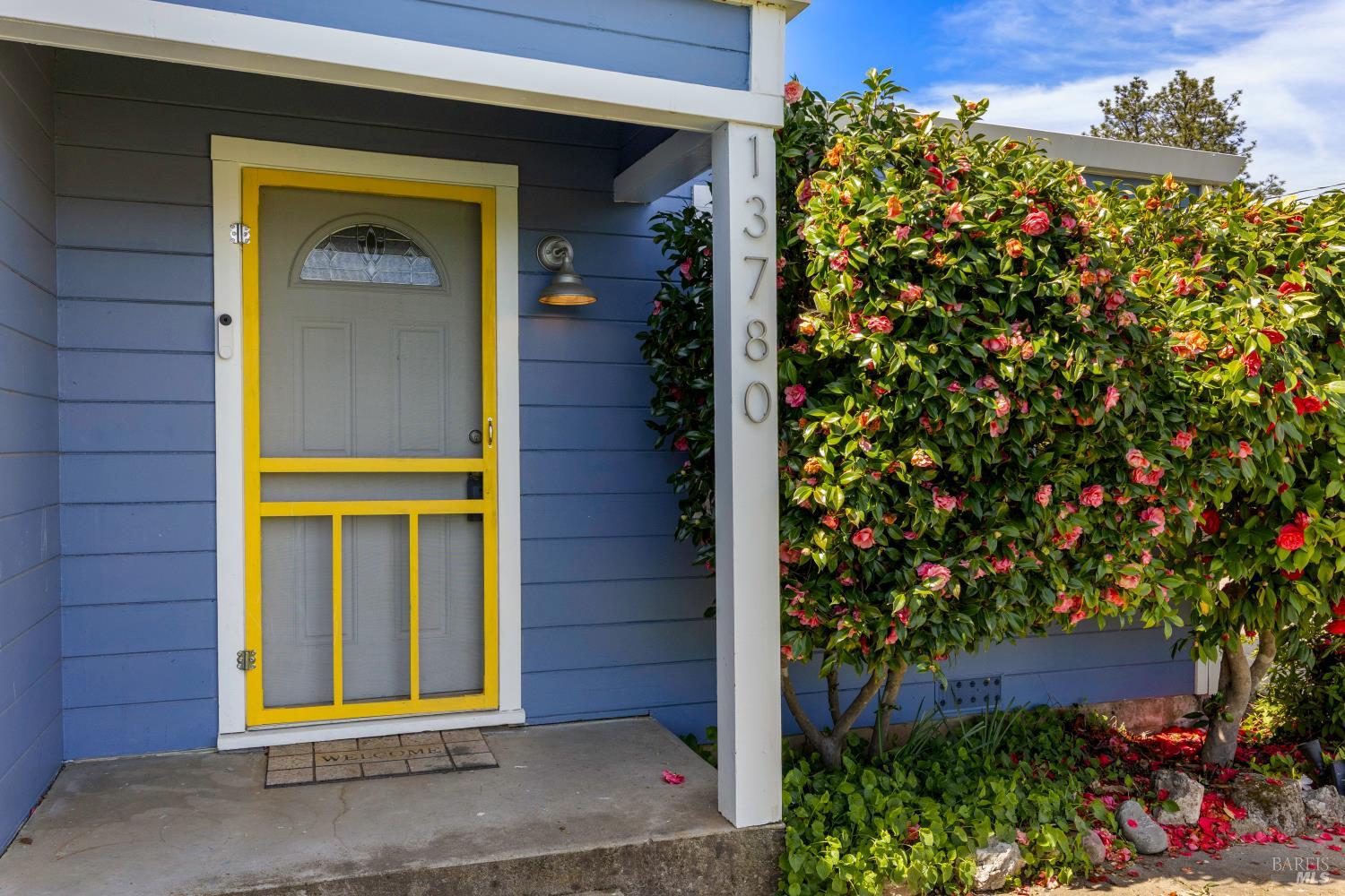 Front Image Thumbnail for BA325099440